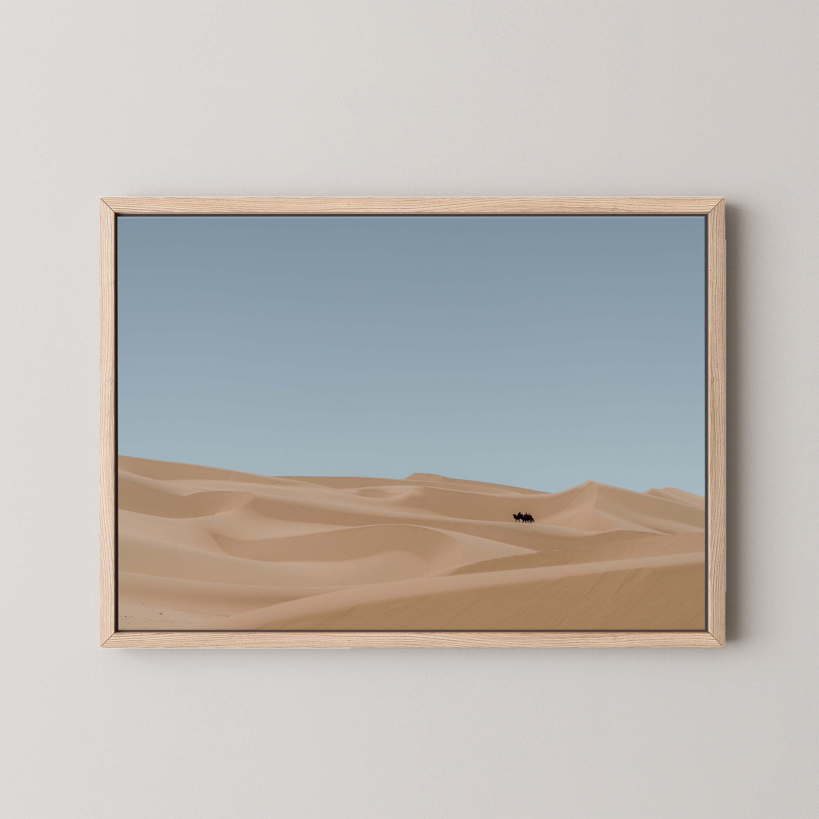 Desert Drifts