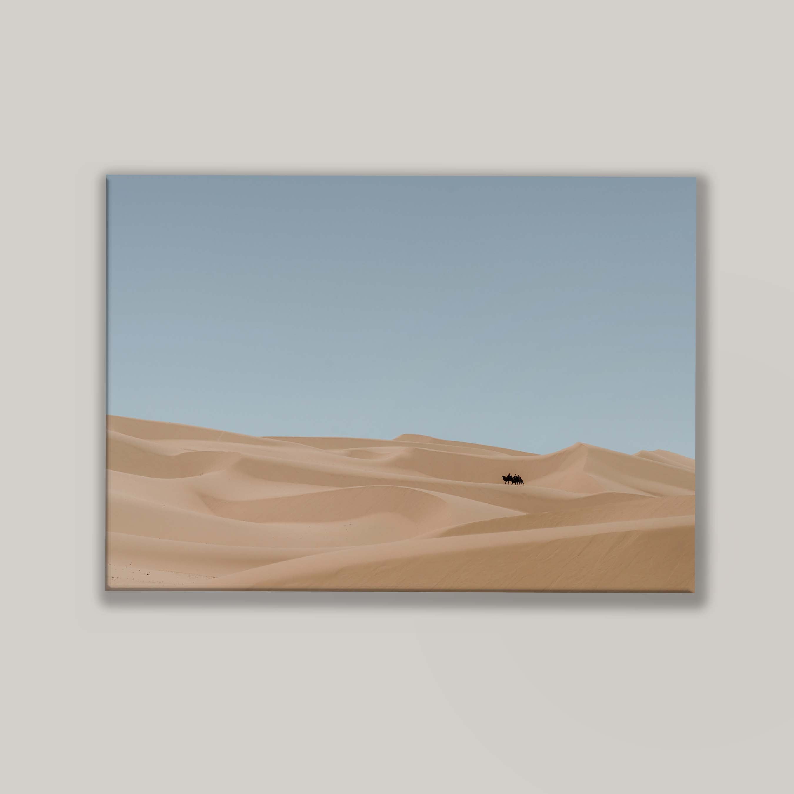 Desert Drifts