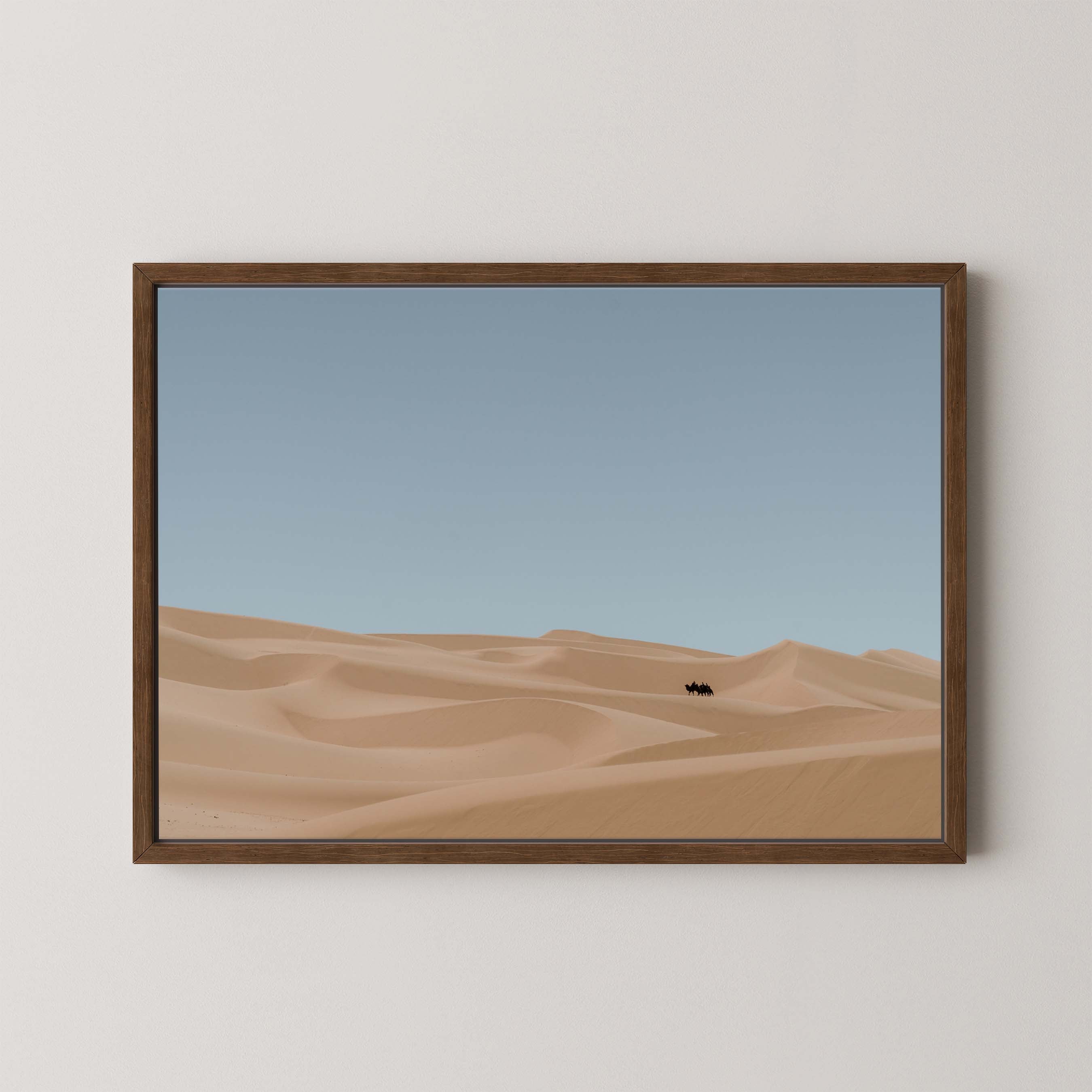 Desert Drifts