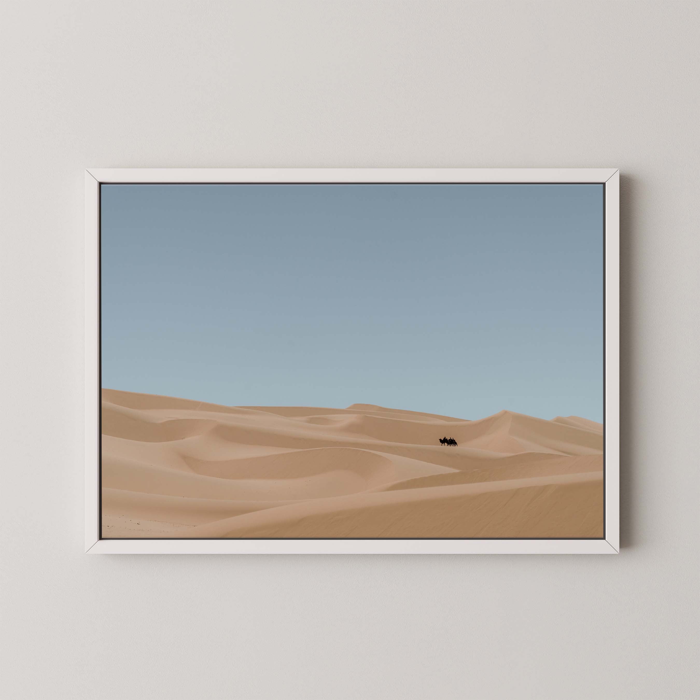 Desert Drifts