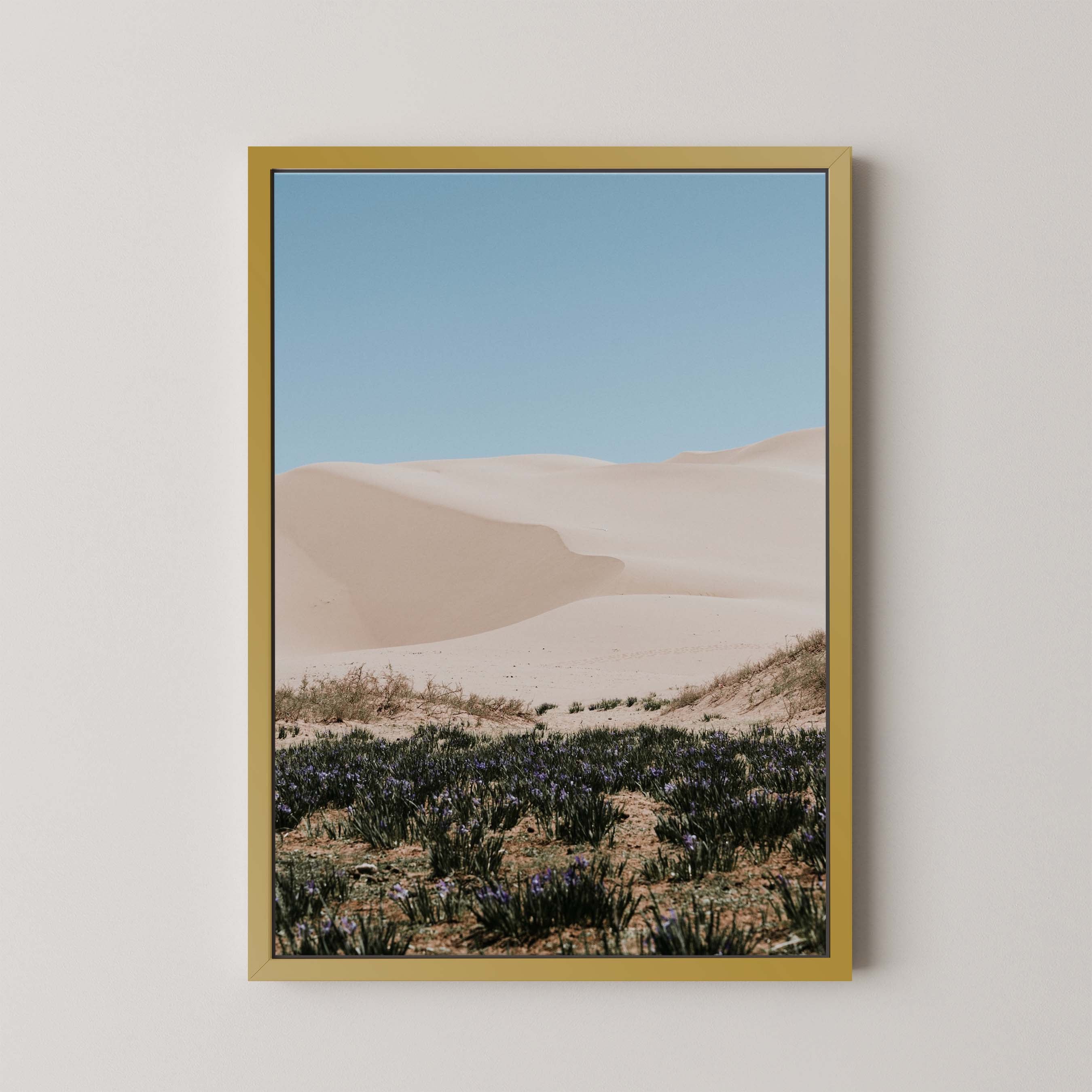 Desert Layers