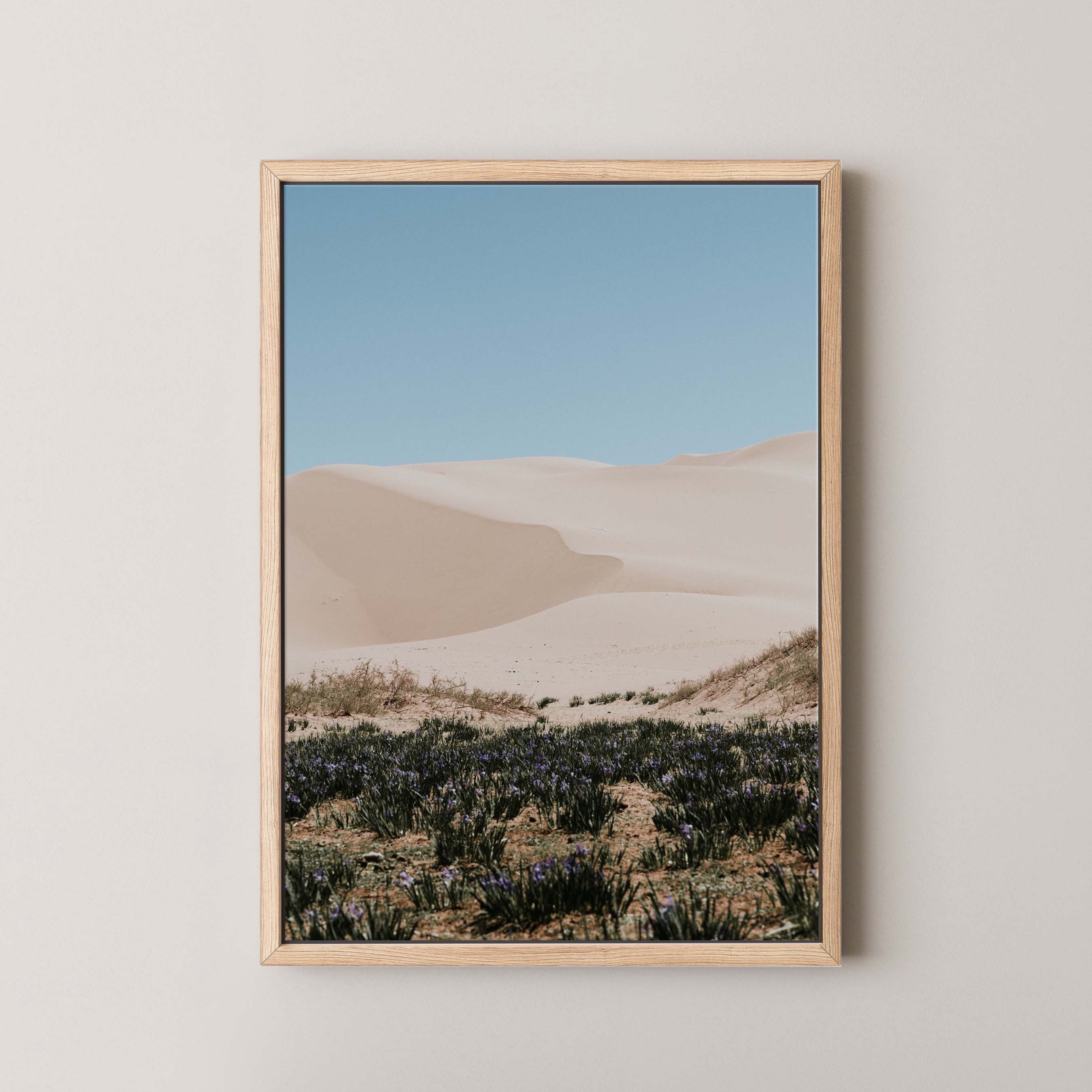 Desert Layers