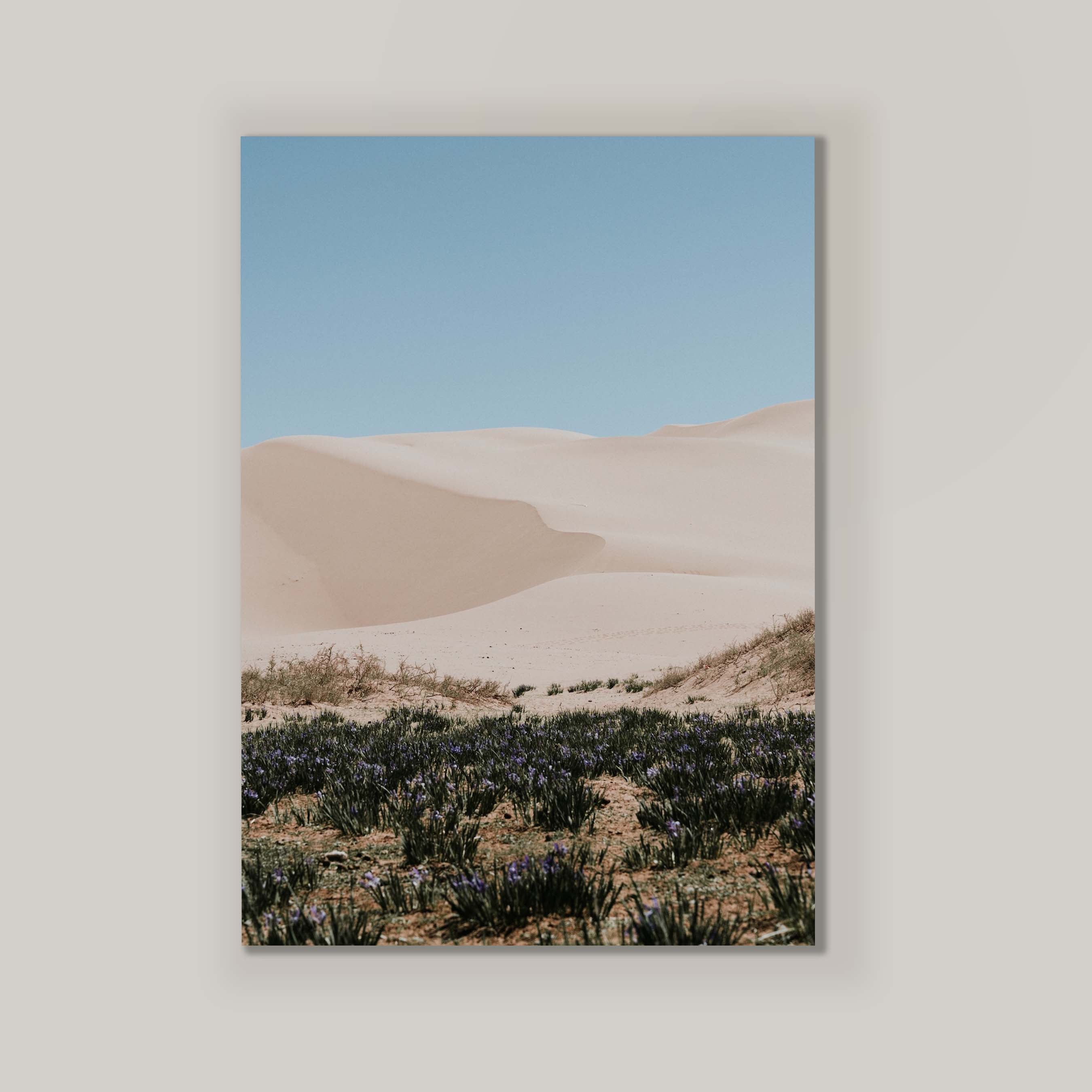 Desert Layers