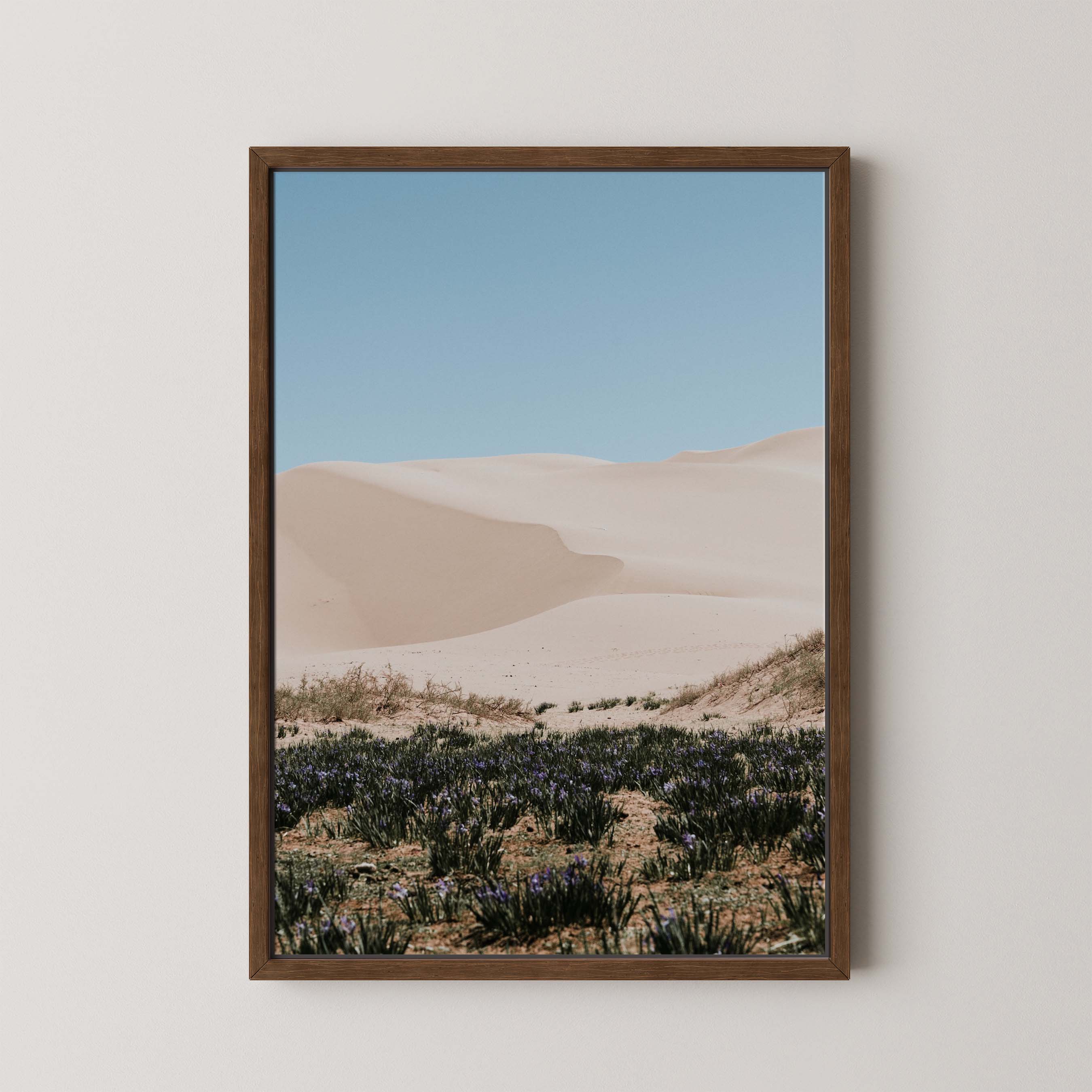 Desert Layers