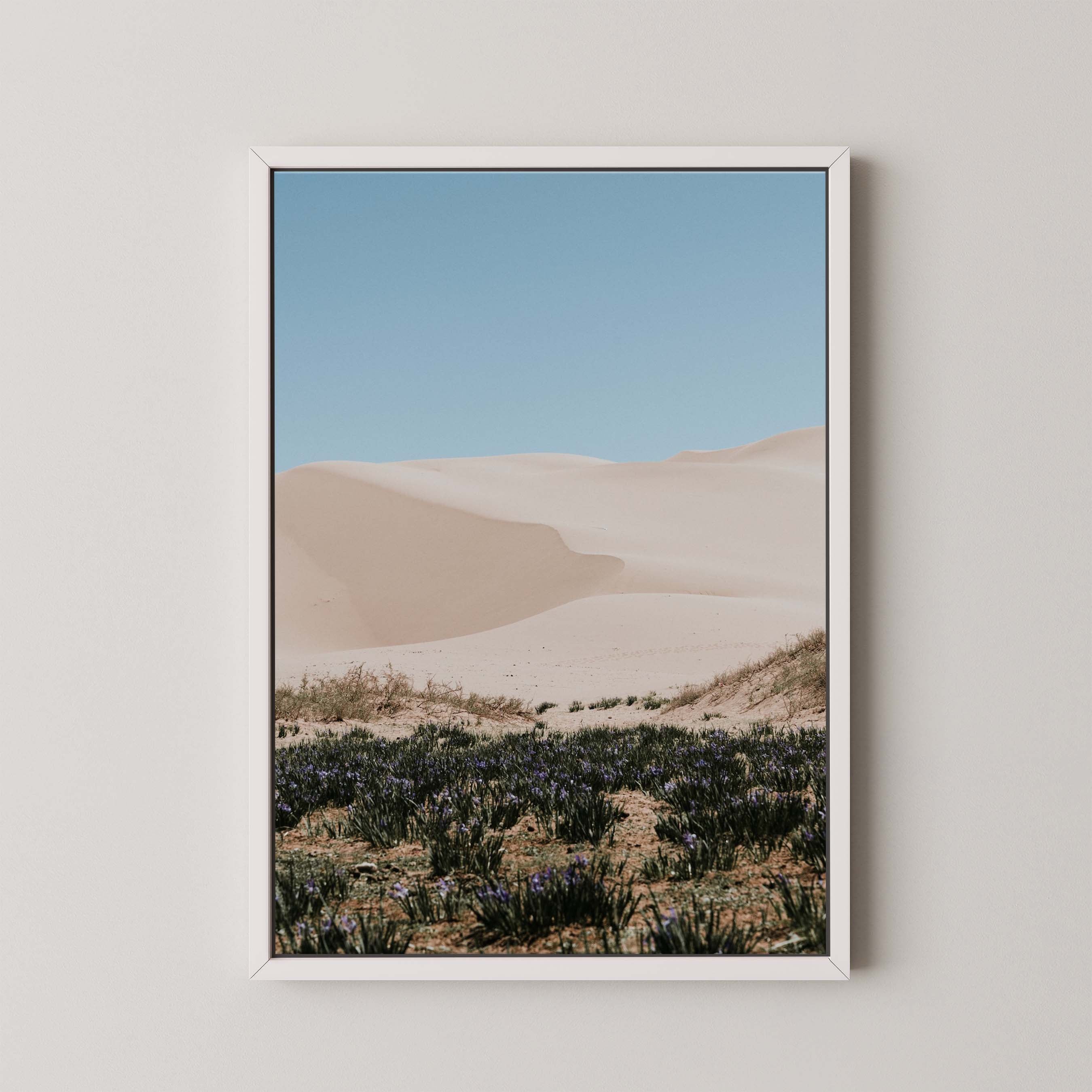 Desert Layers