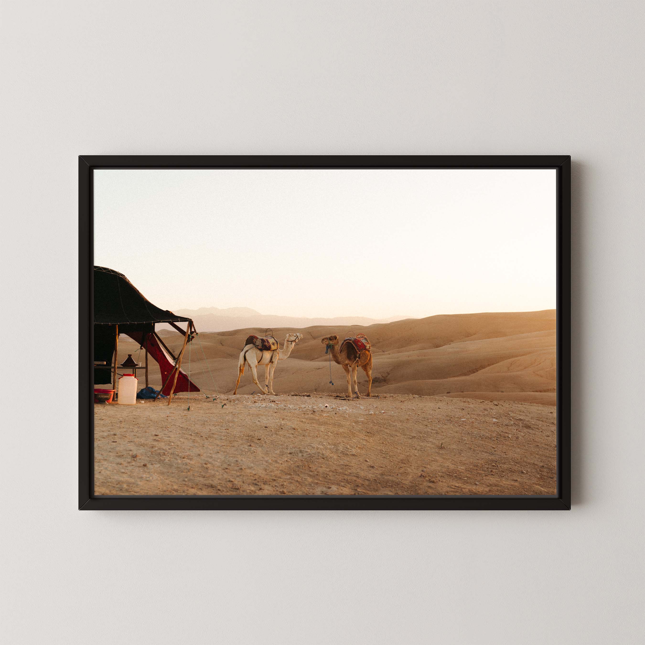 Desert Sunset