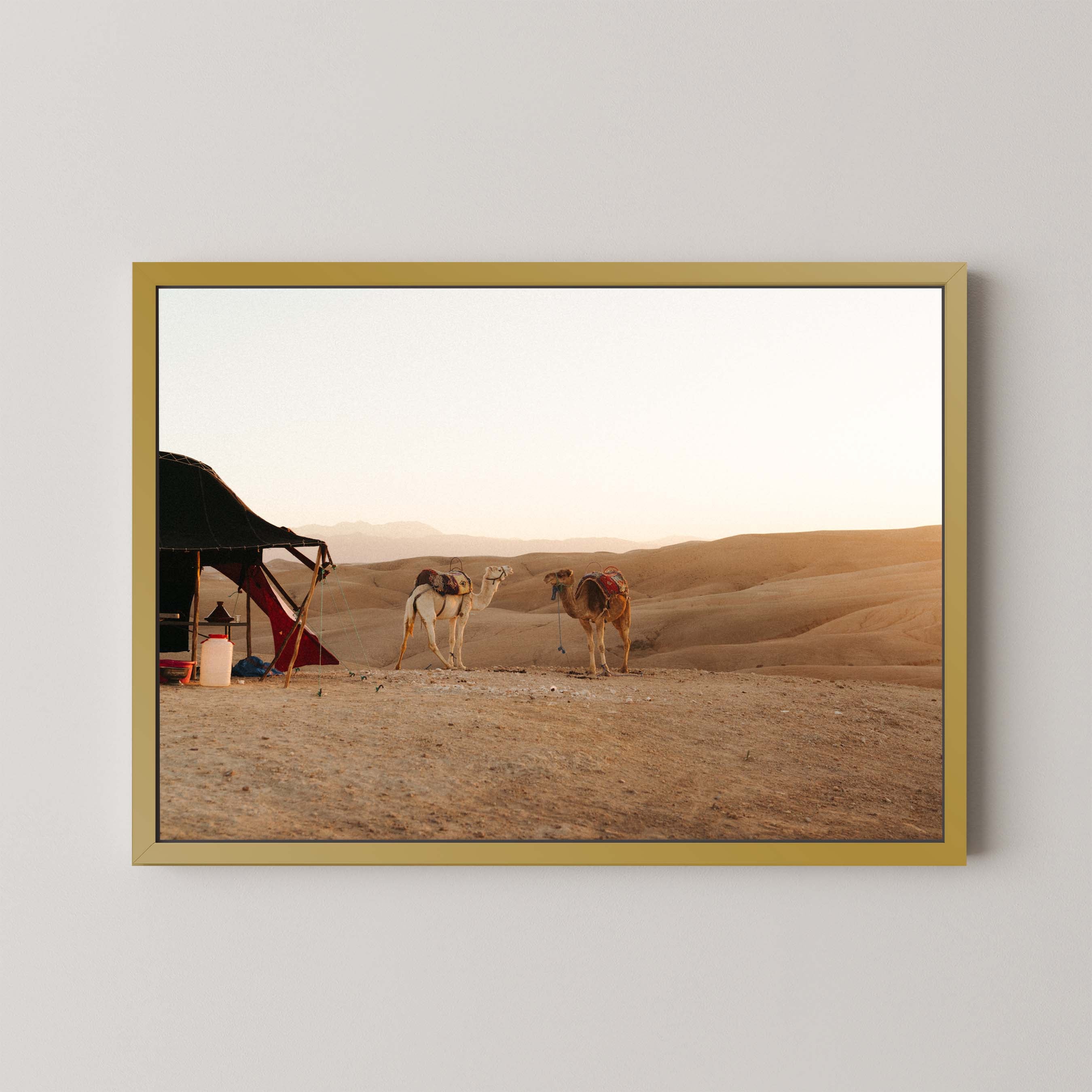 Desert Sunset