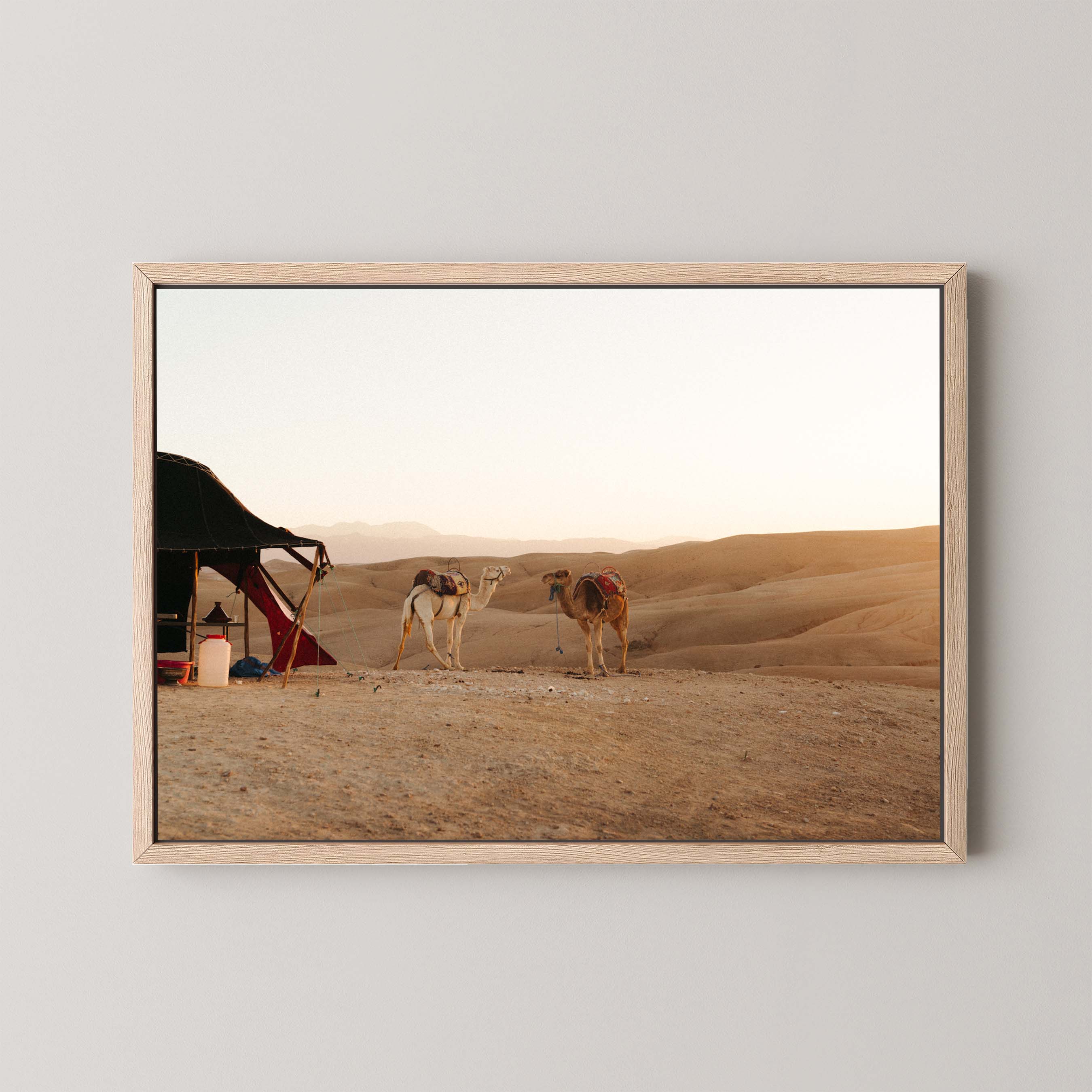 Desert Sunset