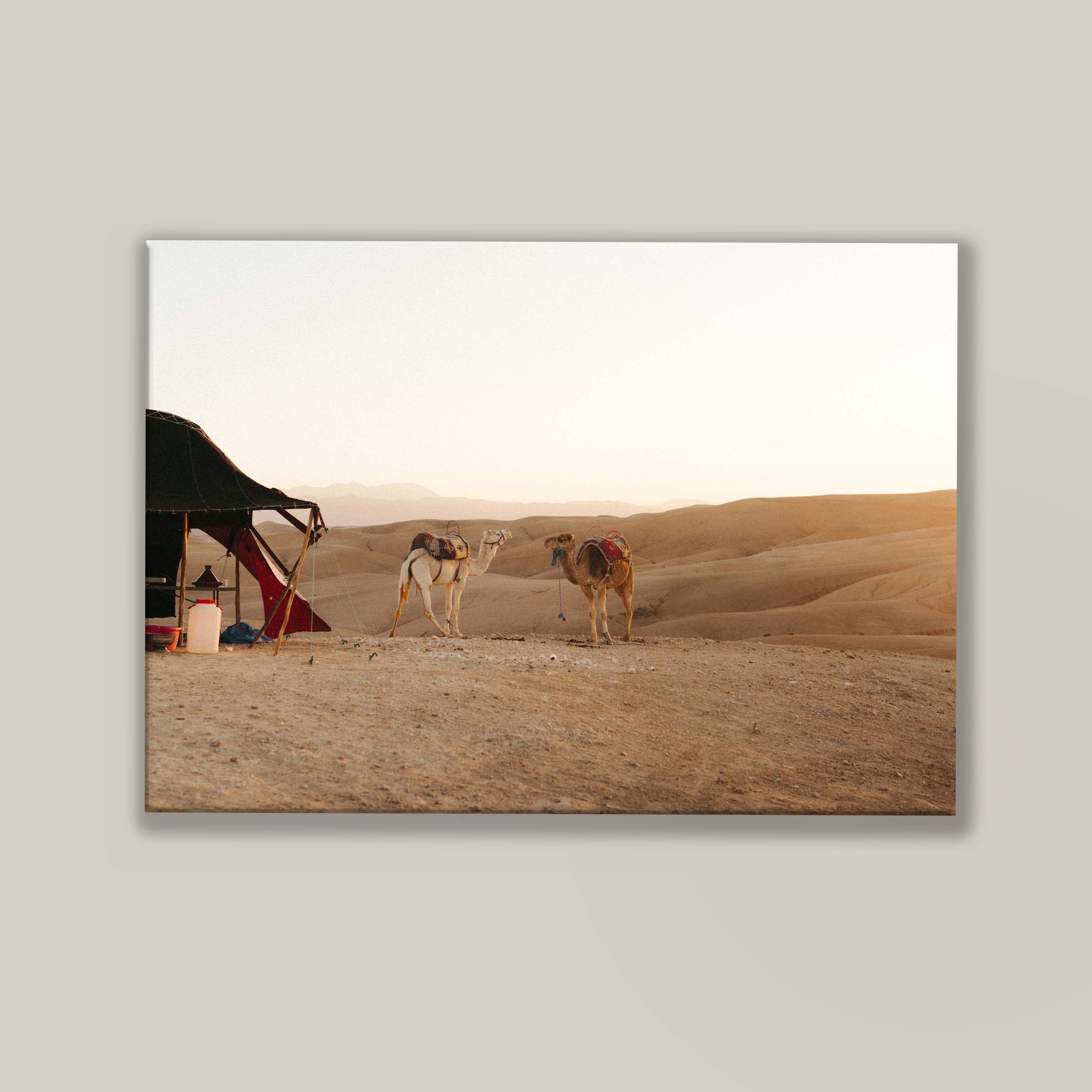 Desert Sunset