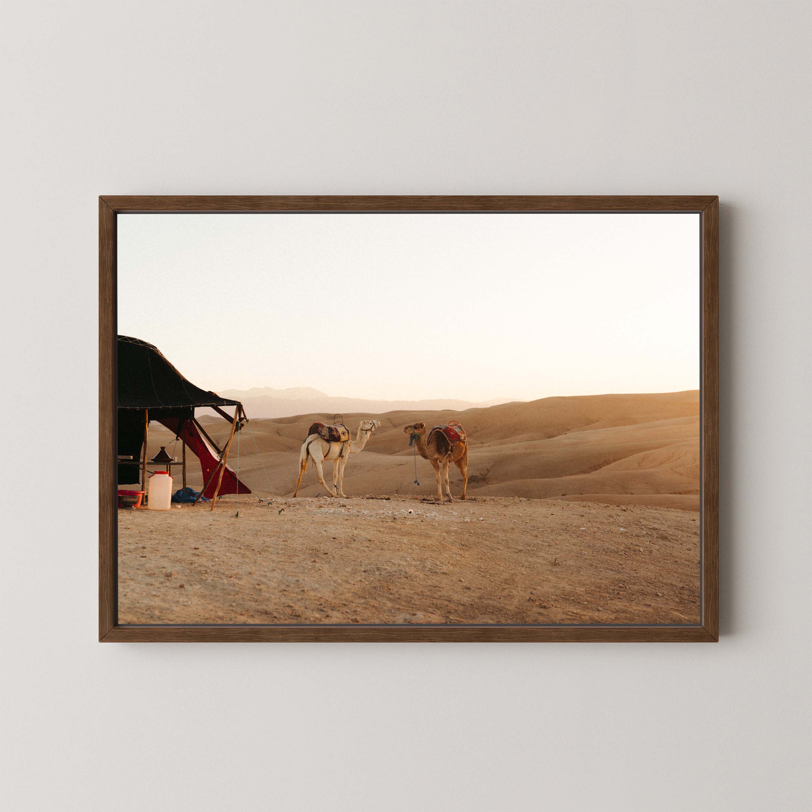 Desert Sunset