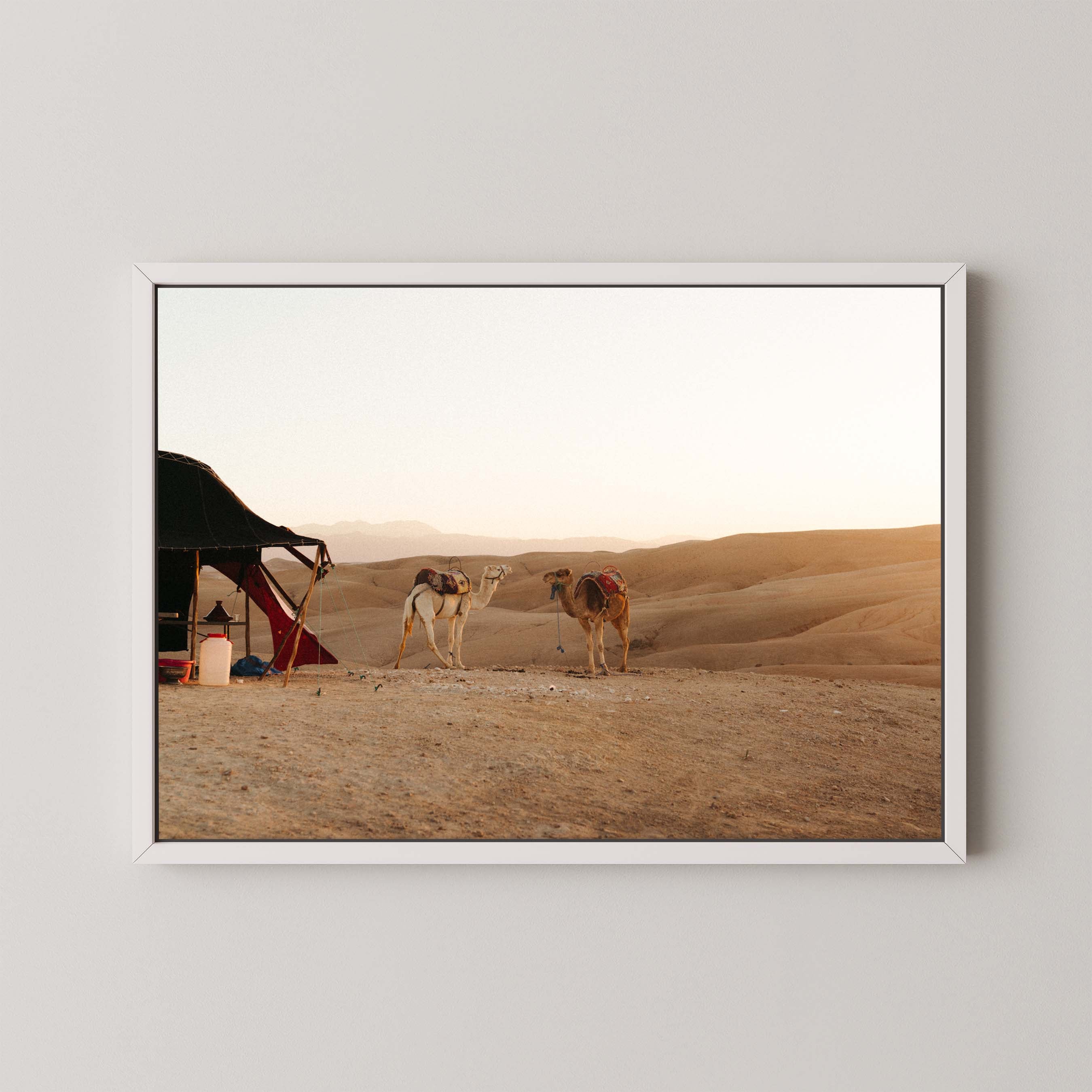 Desert Sunset