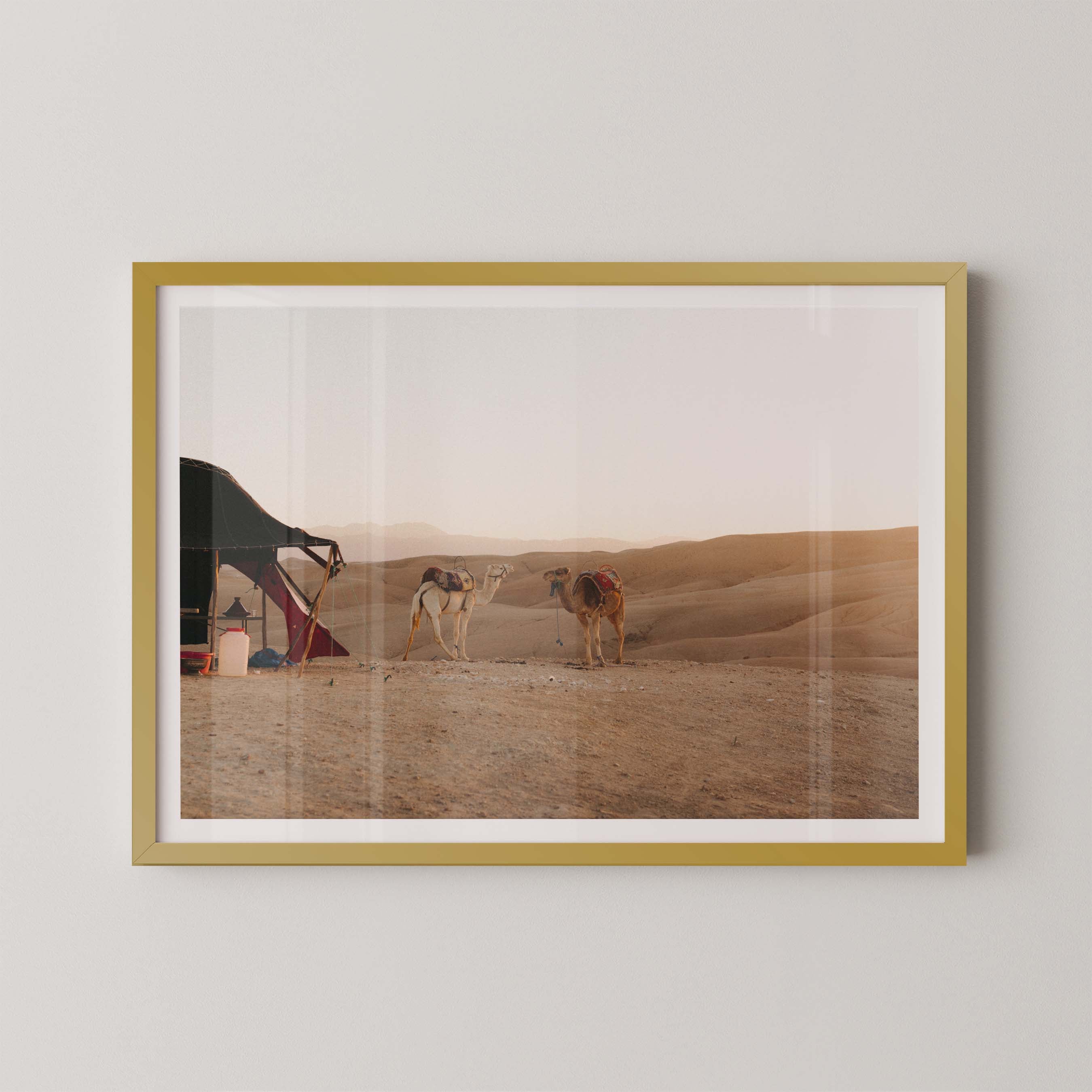 Desert Sunset