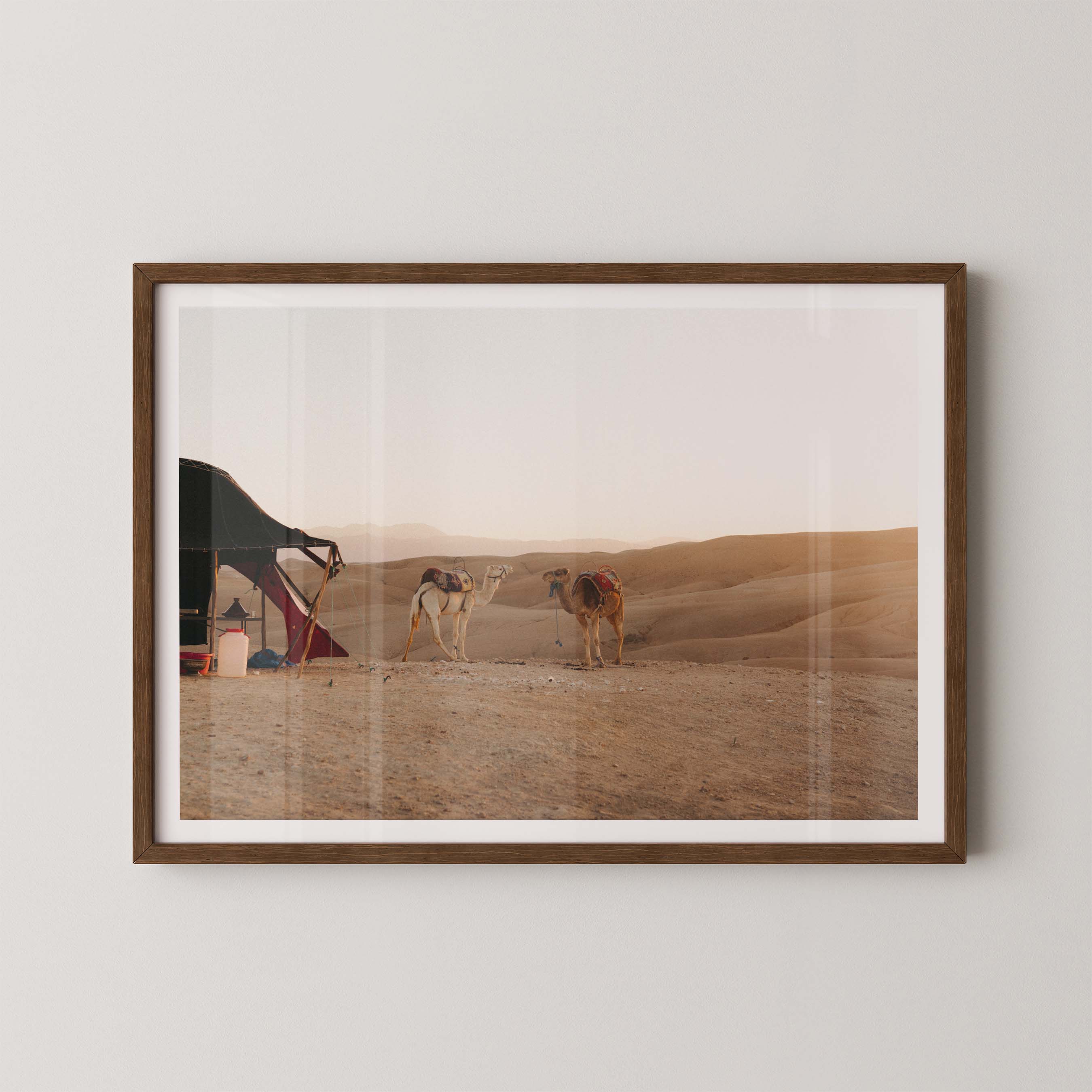 Desert Sunset