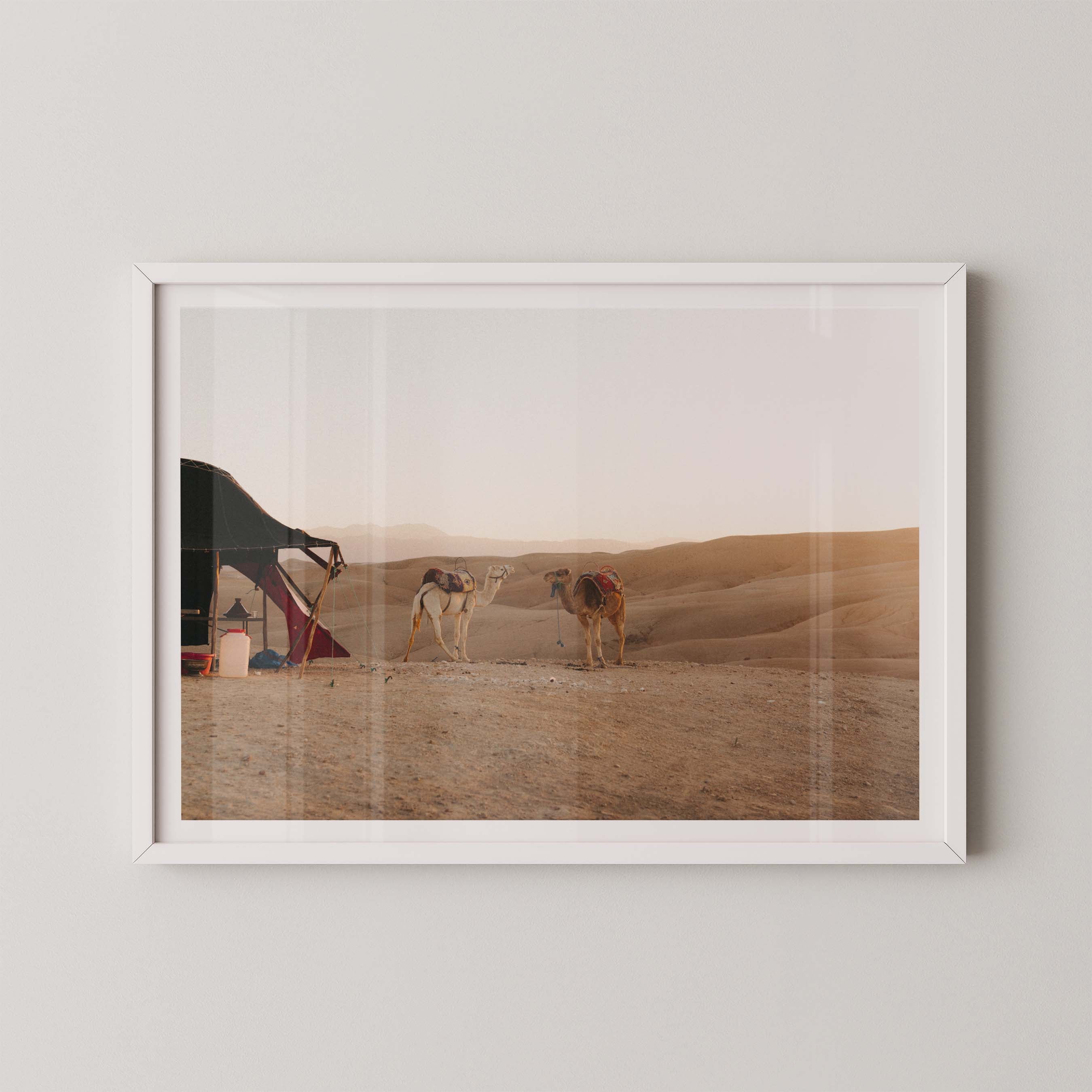 Desert Sunset