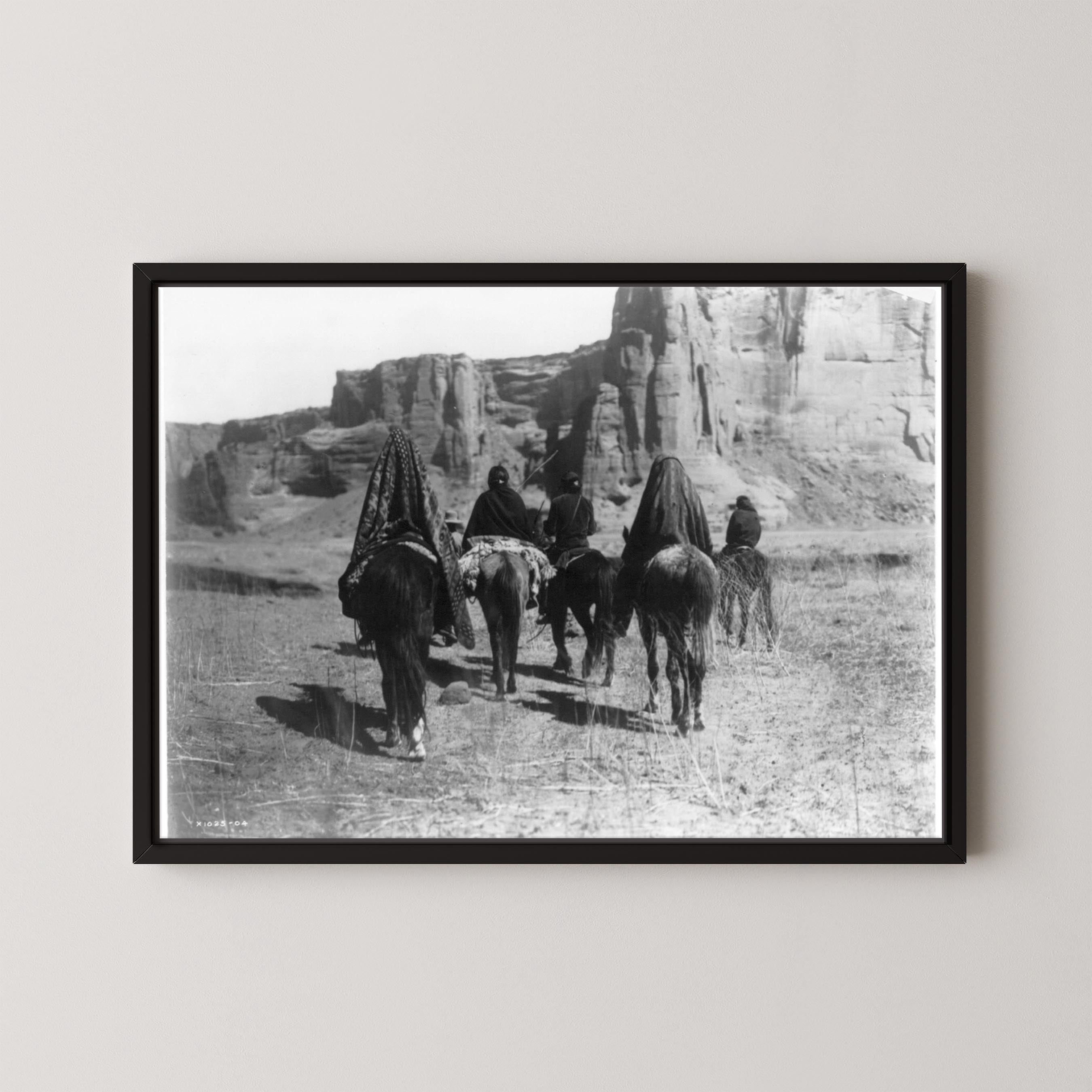 Desert Walk