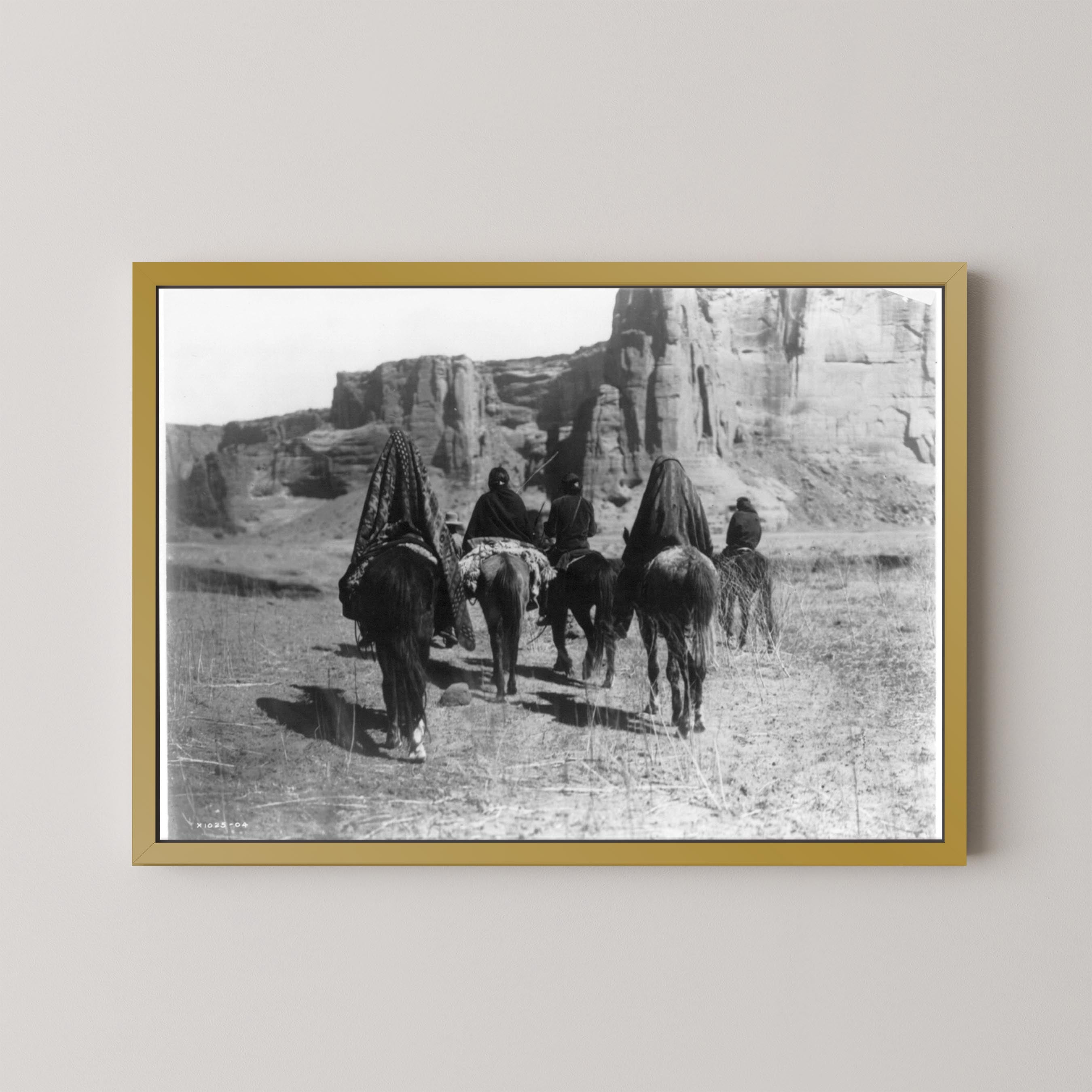 Desert Walk