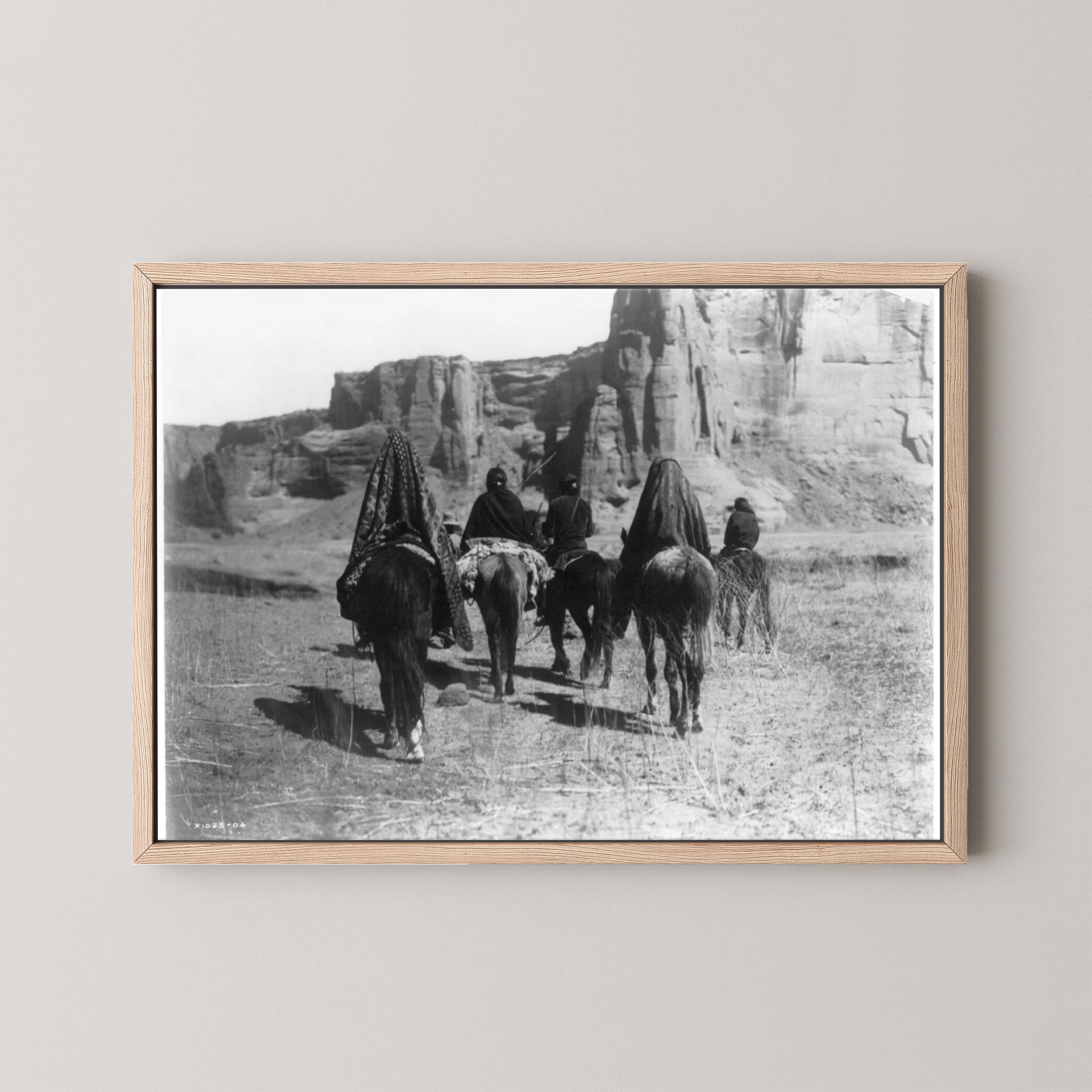 Desert Walk
