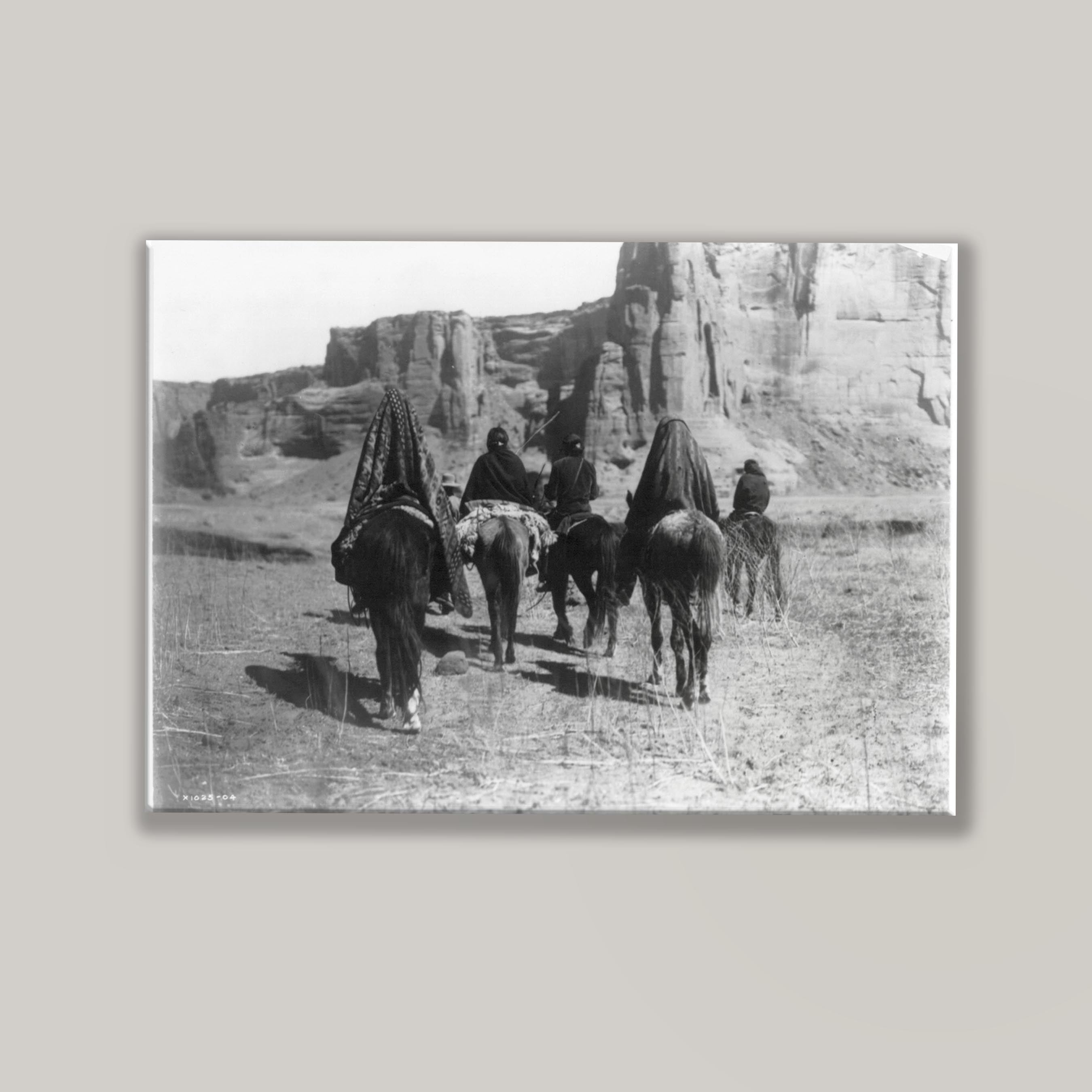 Desert Walk
