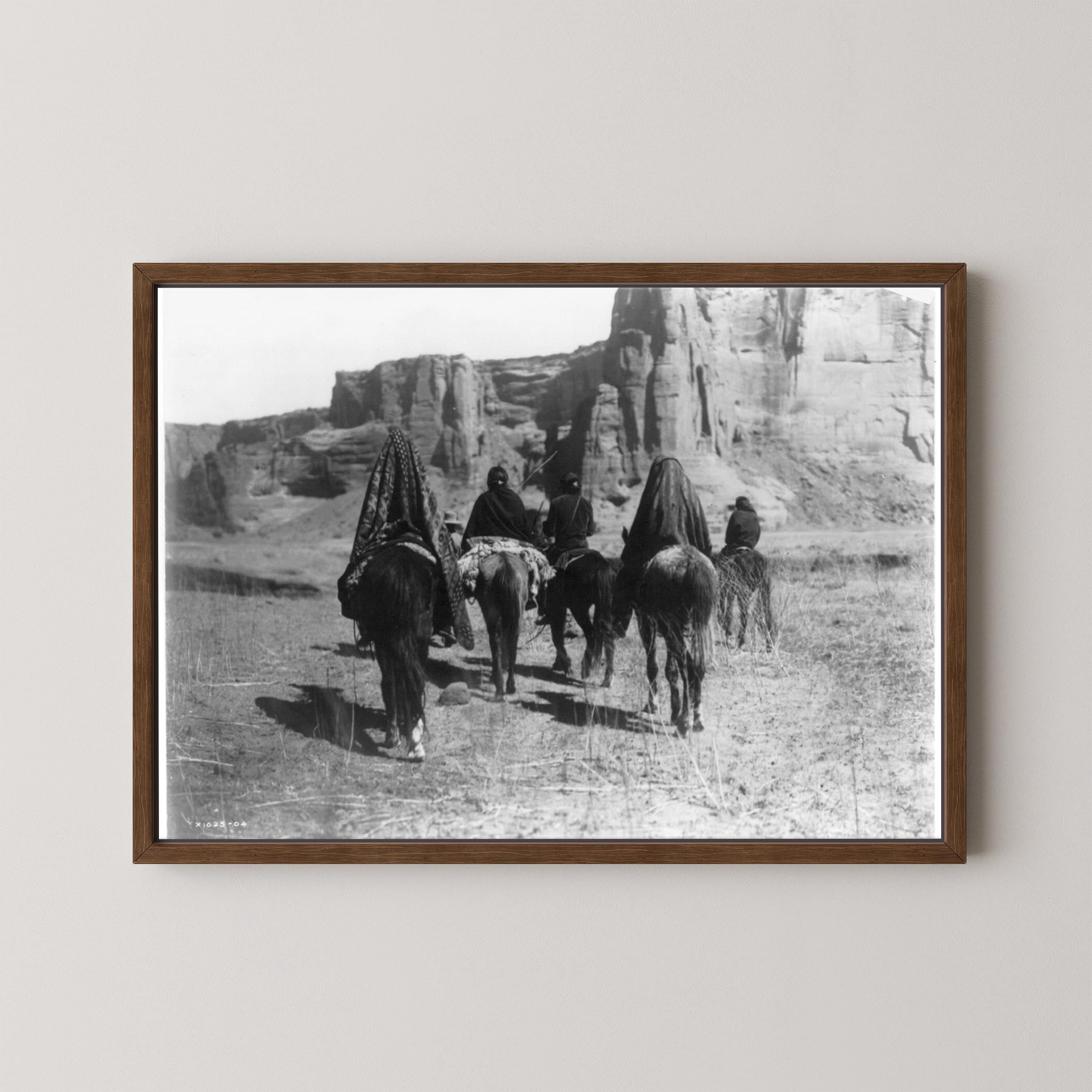 Desert Walk