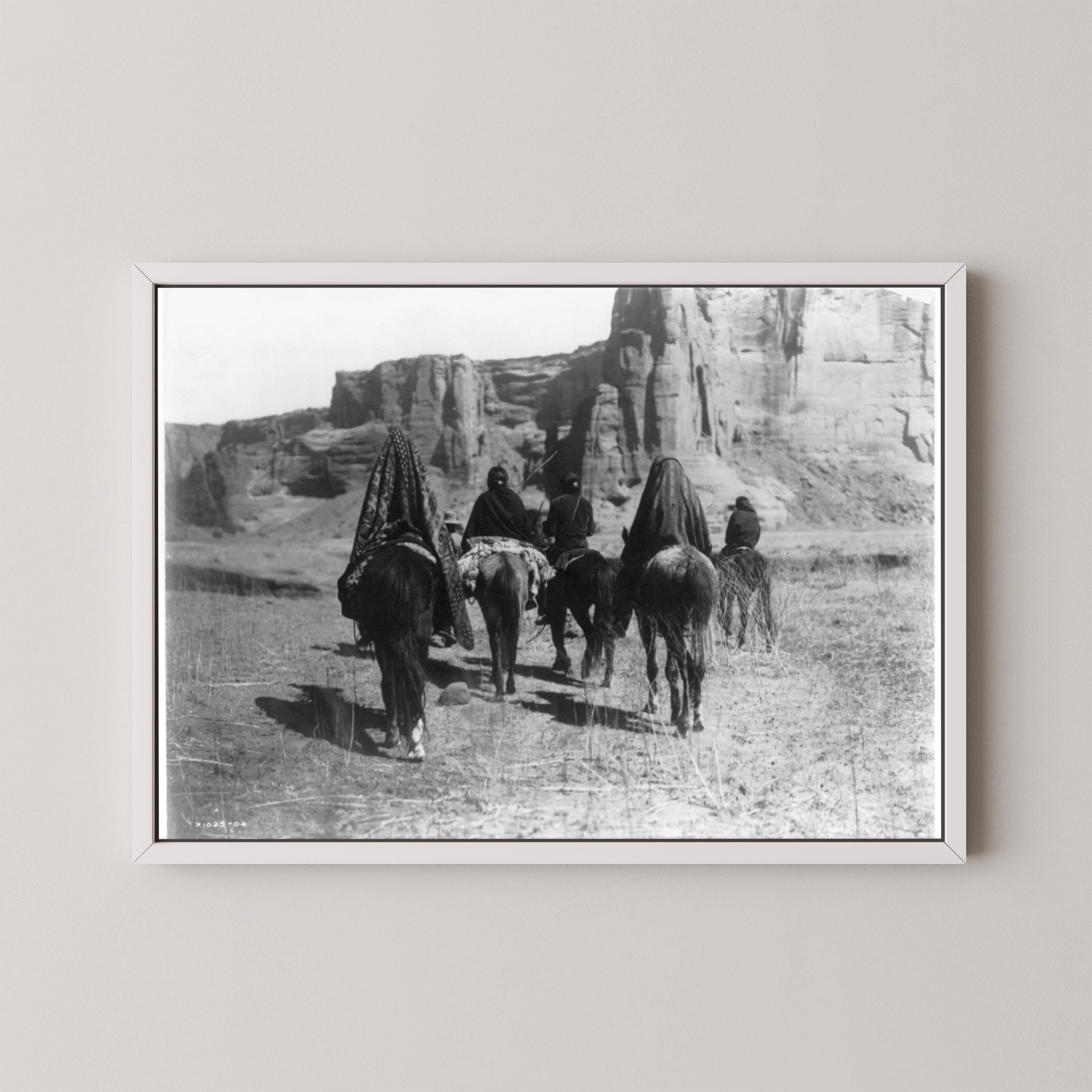 Desert Walk