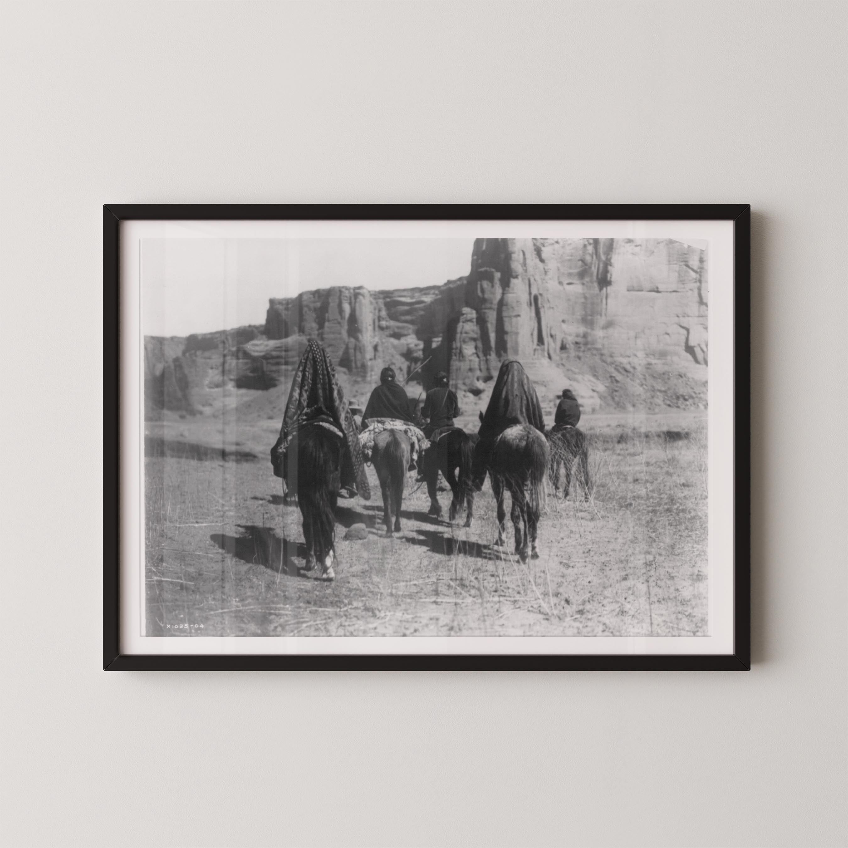 Desert Walk