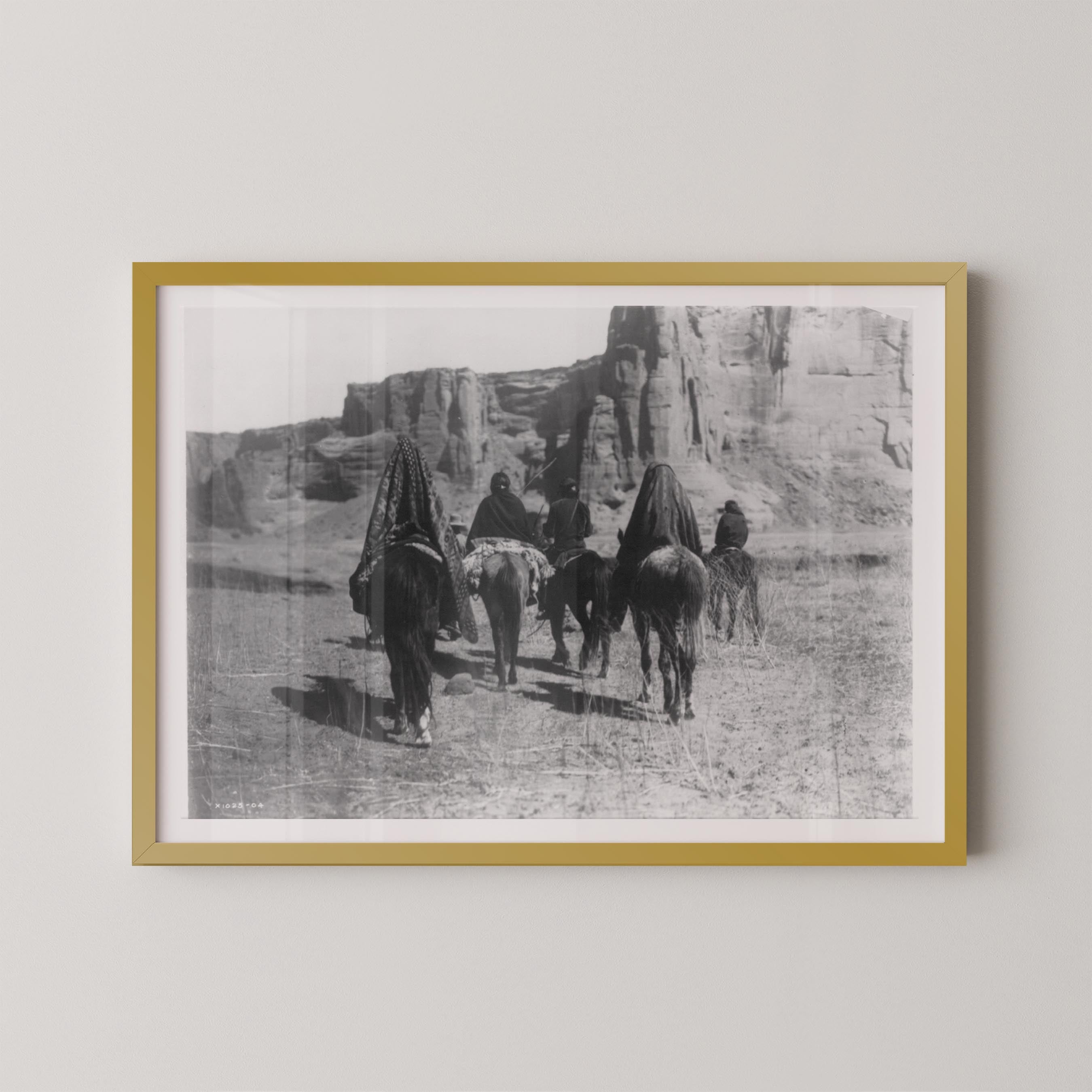 Desert Walk