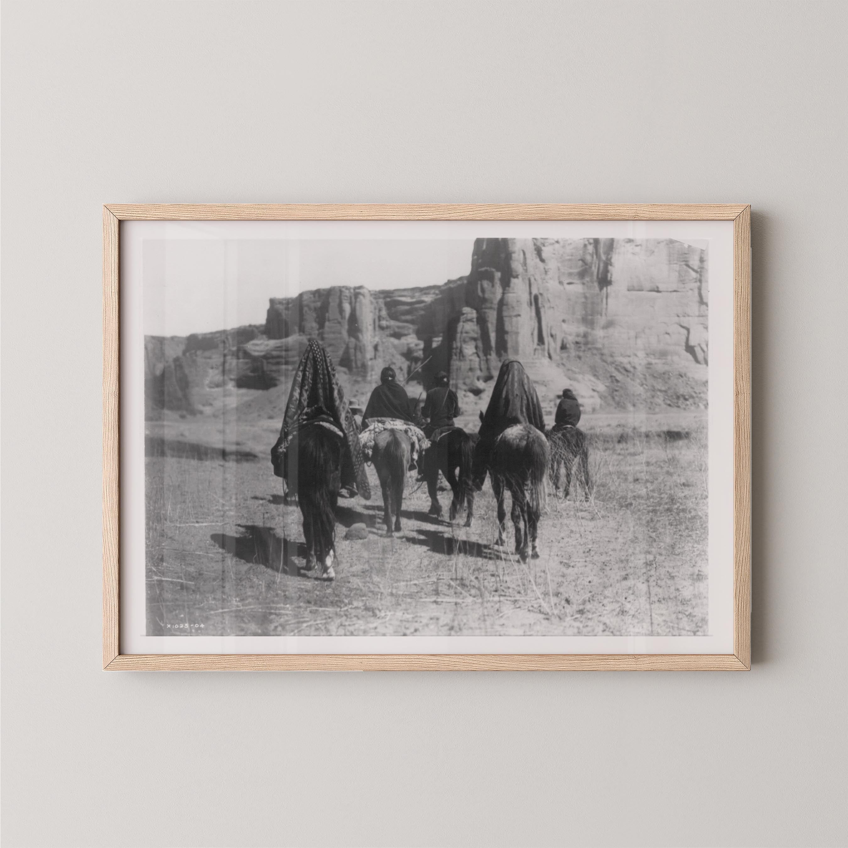 Desert Walk
