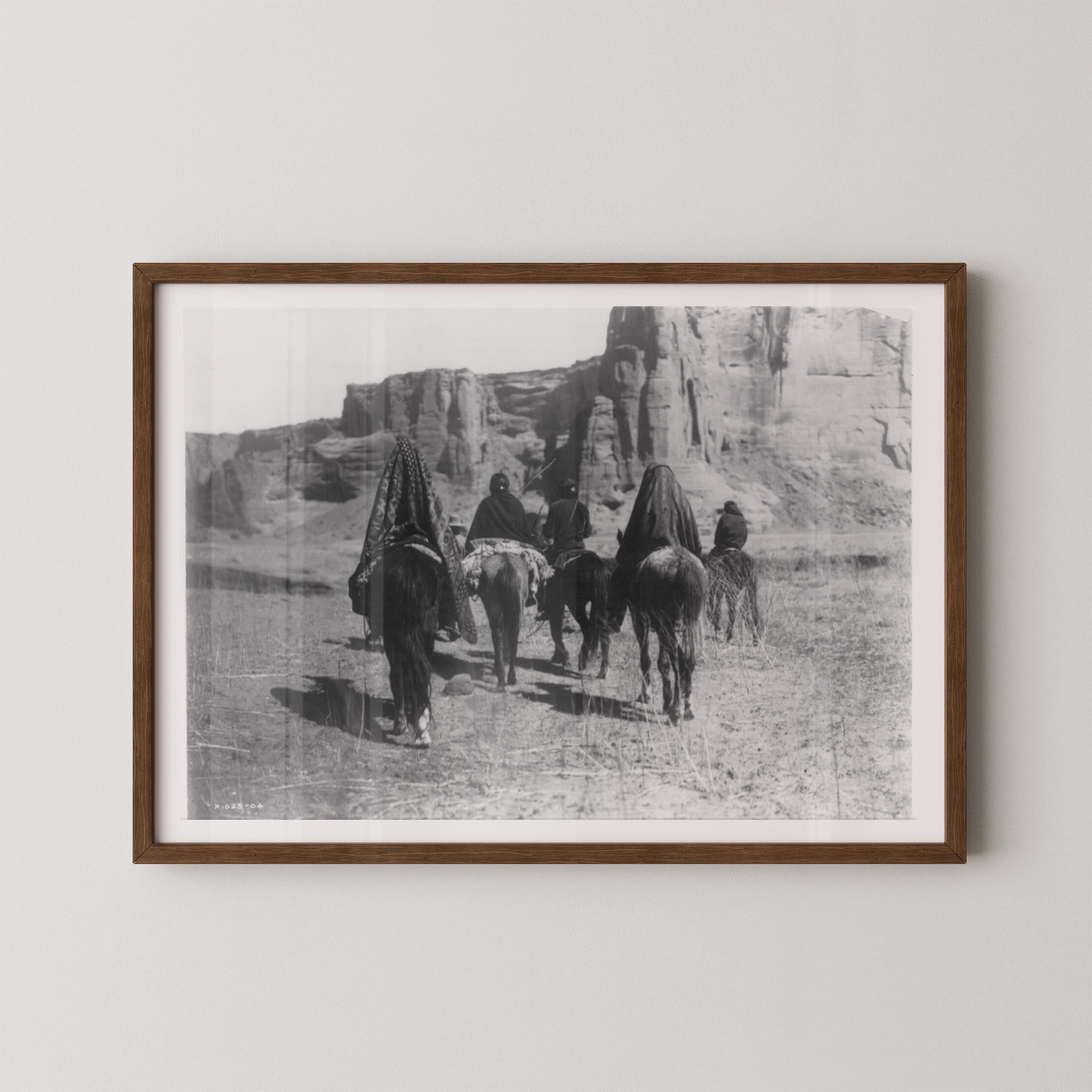 Desert Walk