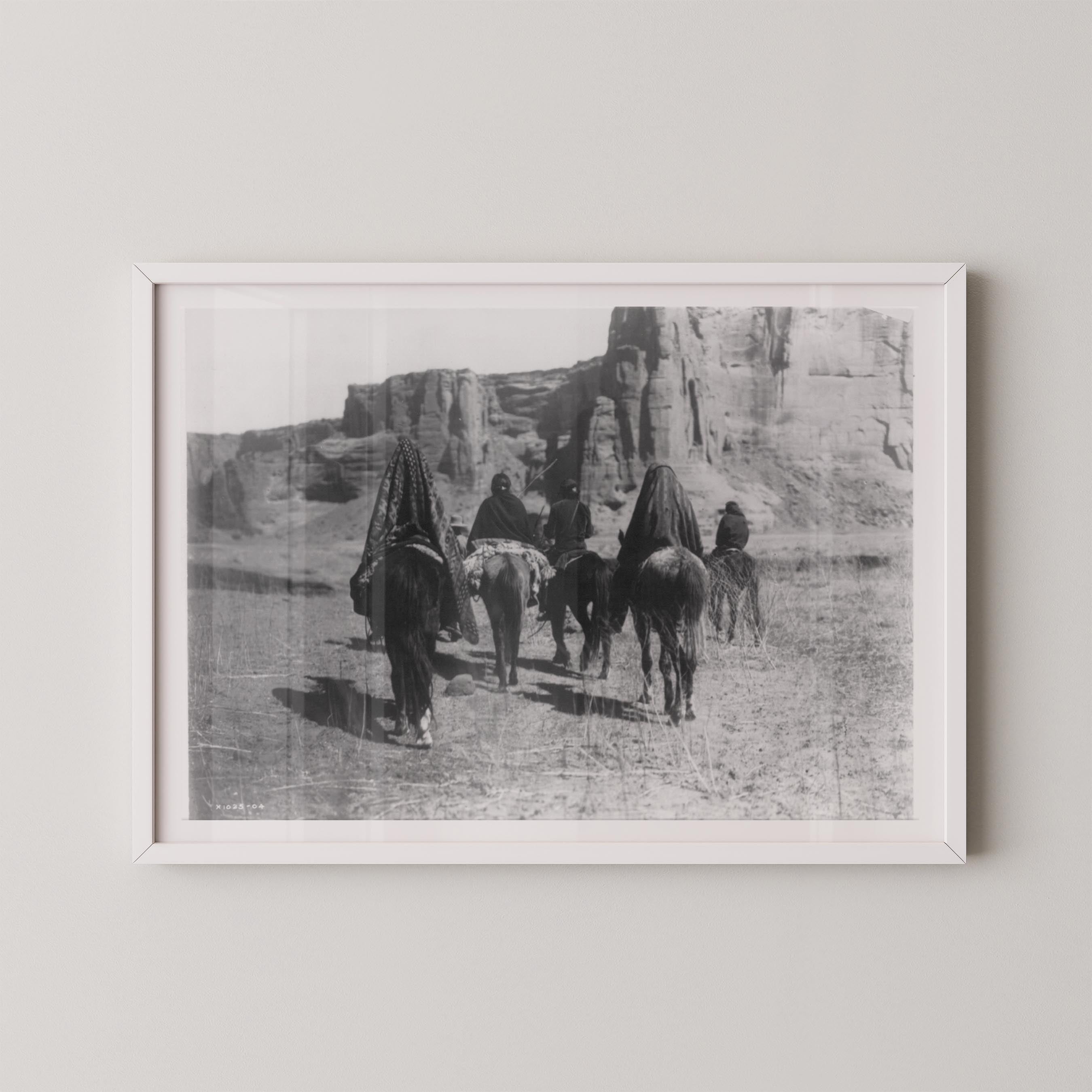 Desert Walk