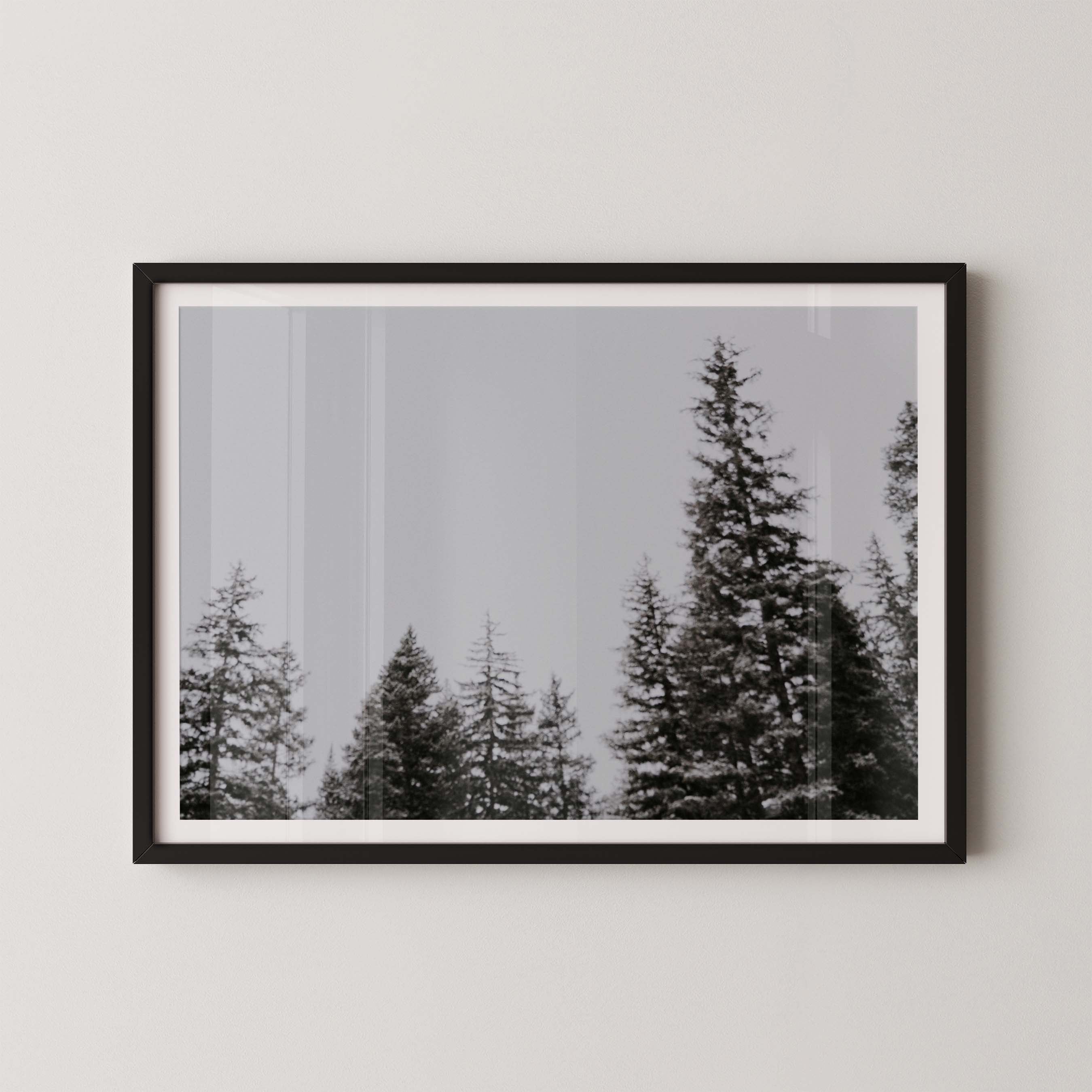 Forest Vision