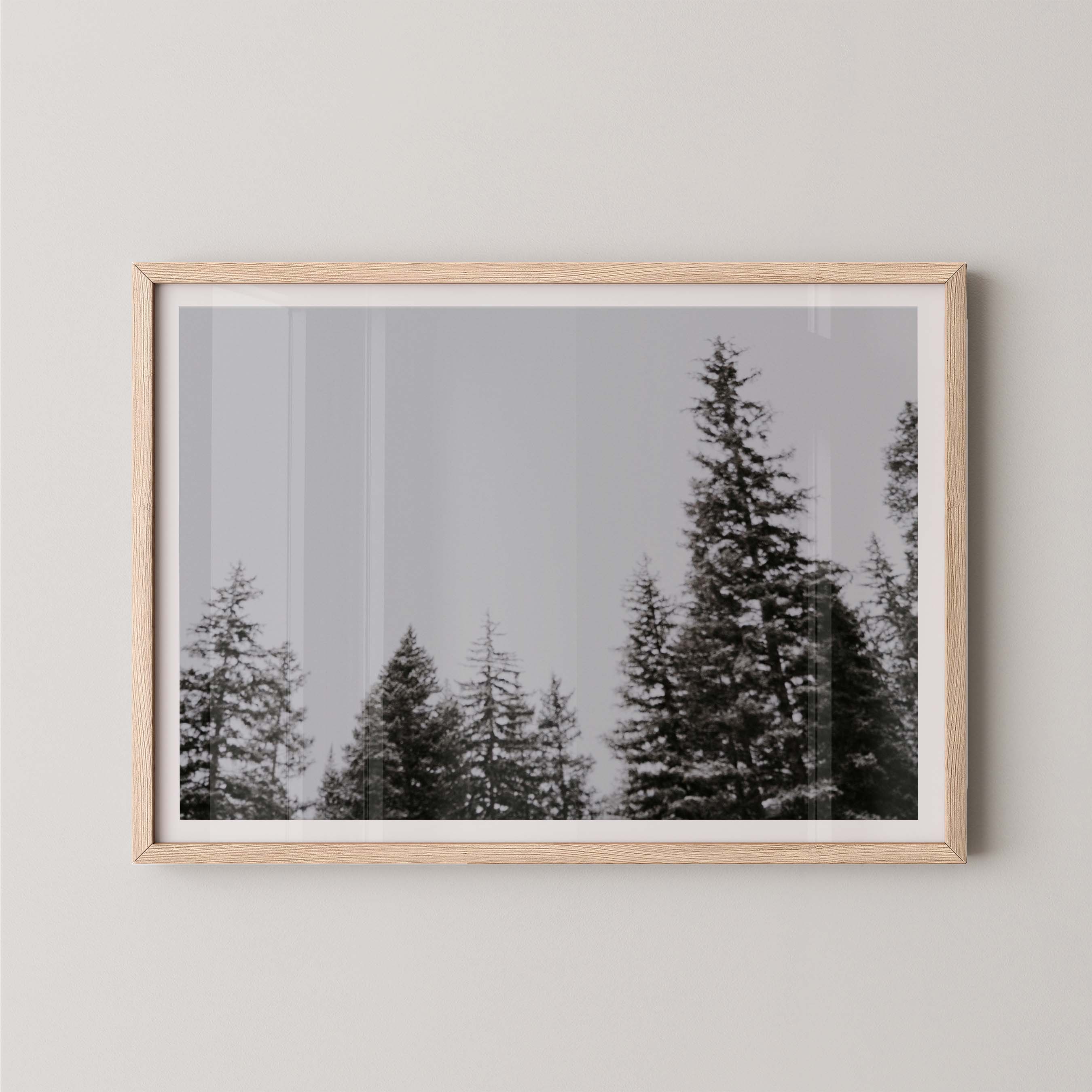 Forest Vision