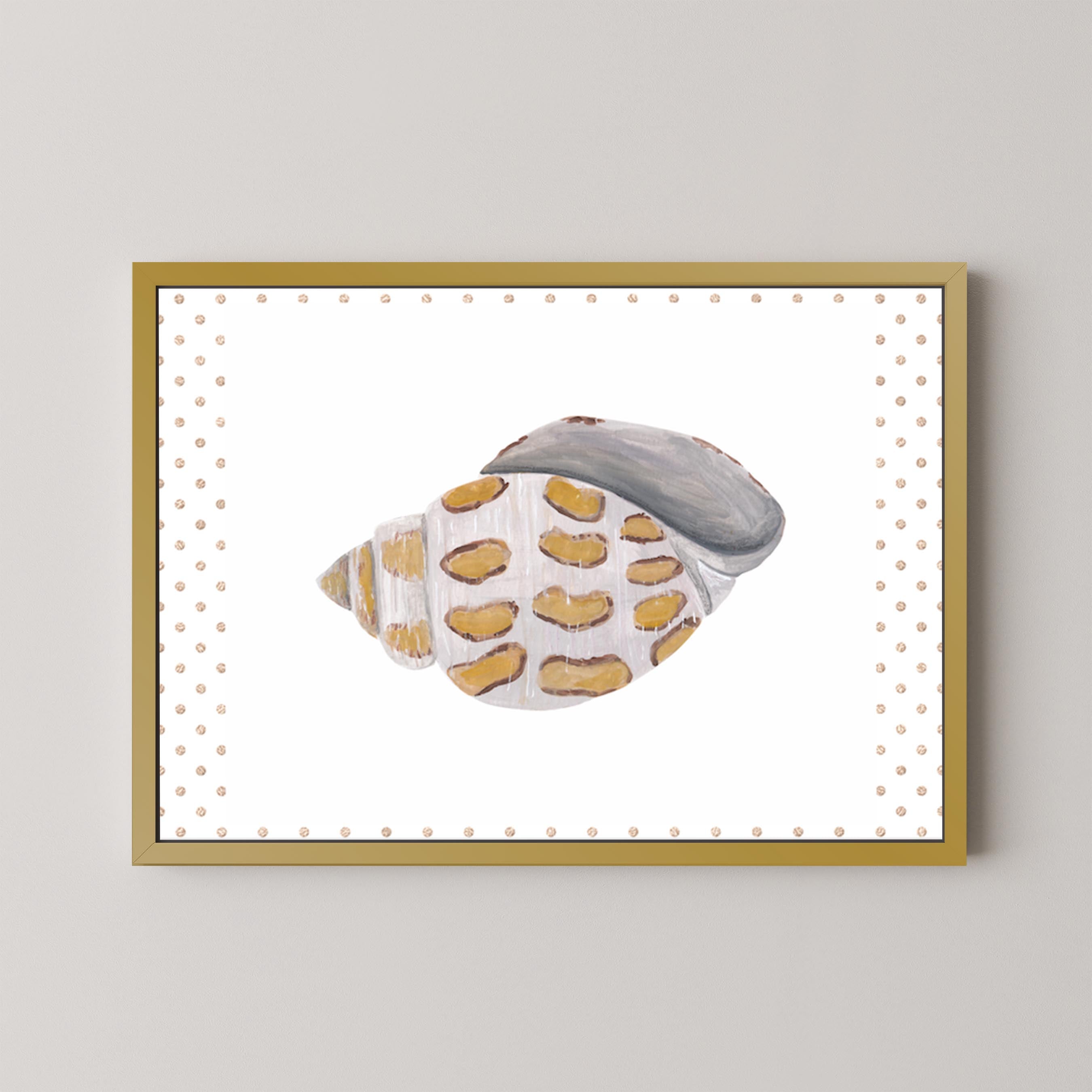 Funky Shell I