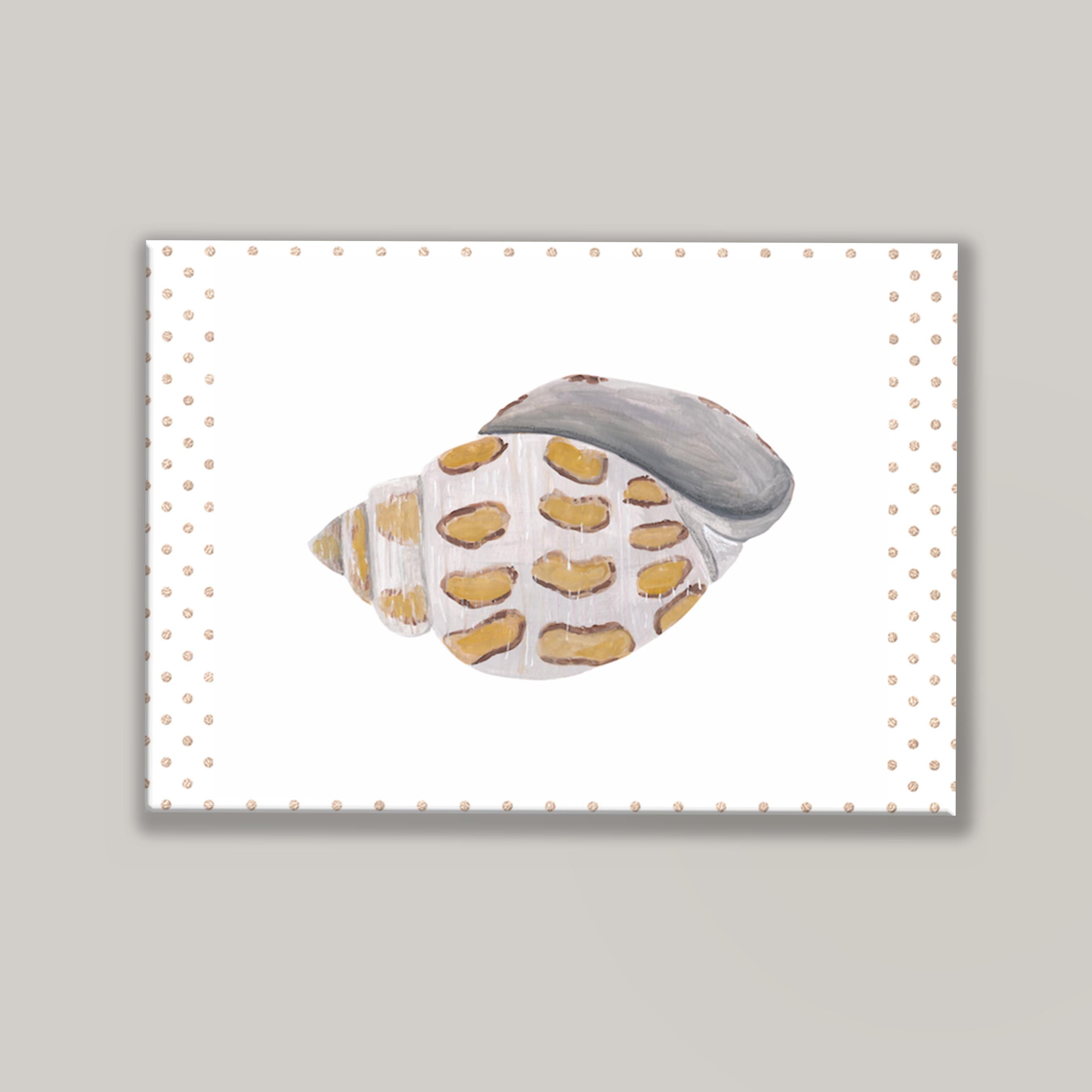Funky Shell I