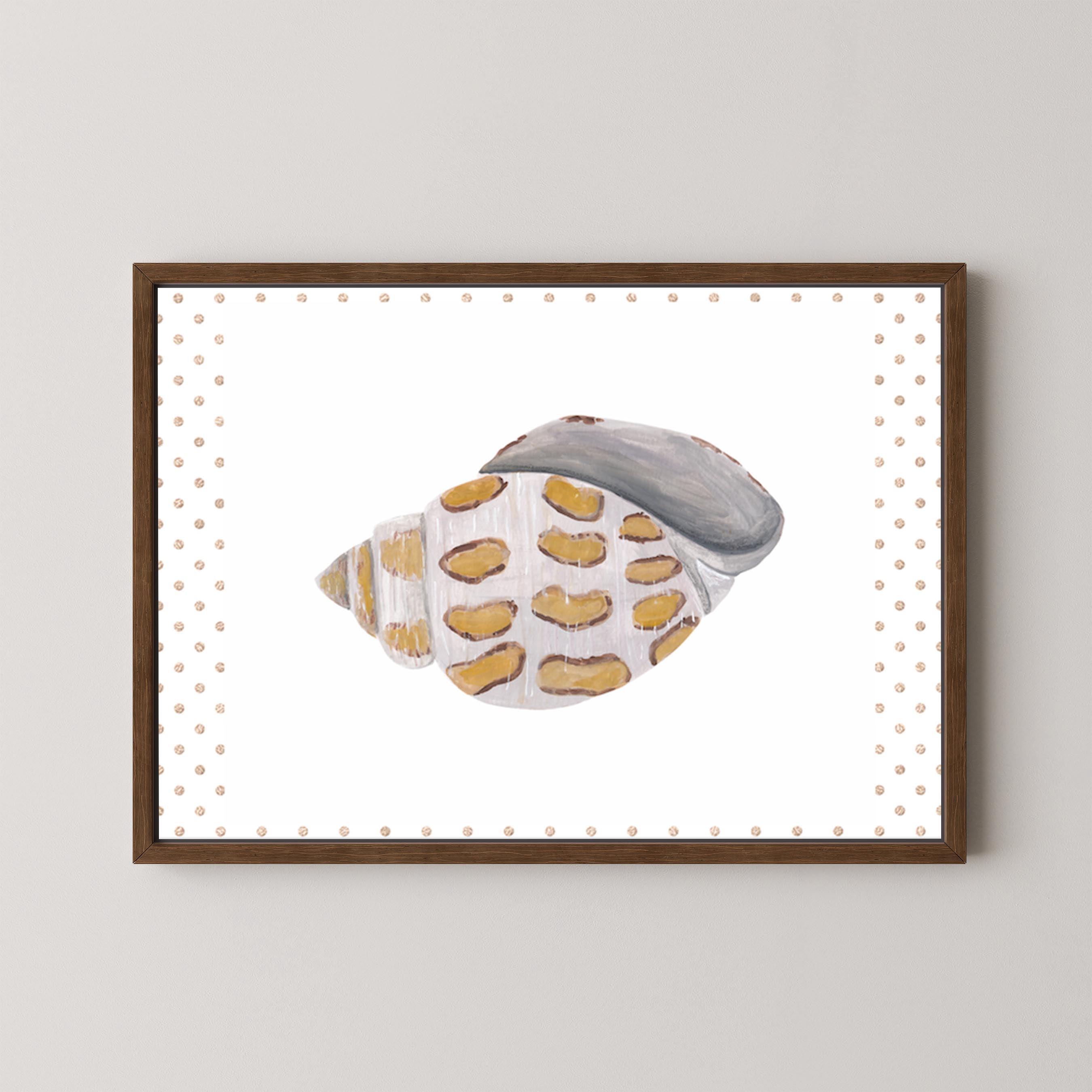 Funky Shell I
