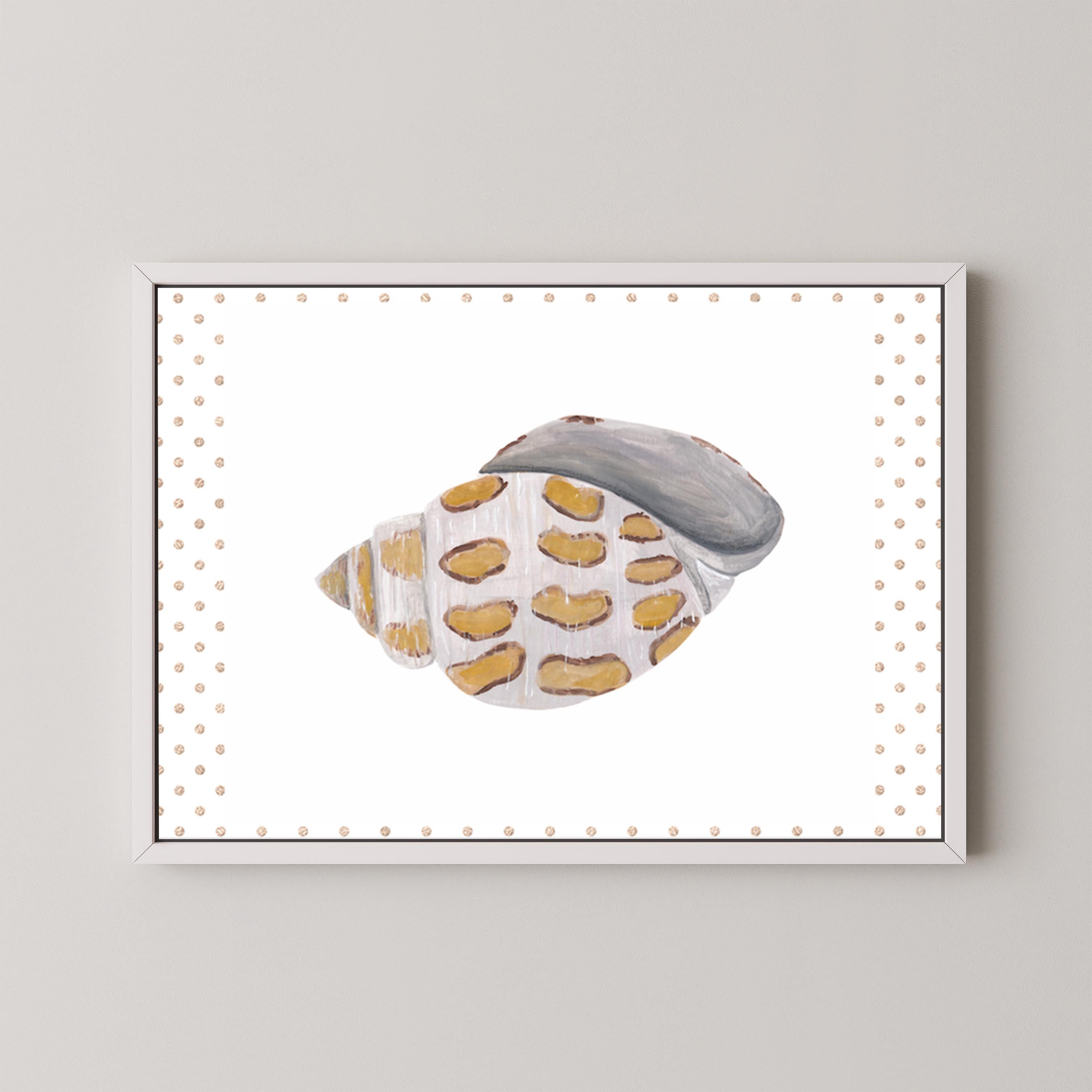 Funky Shell I