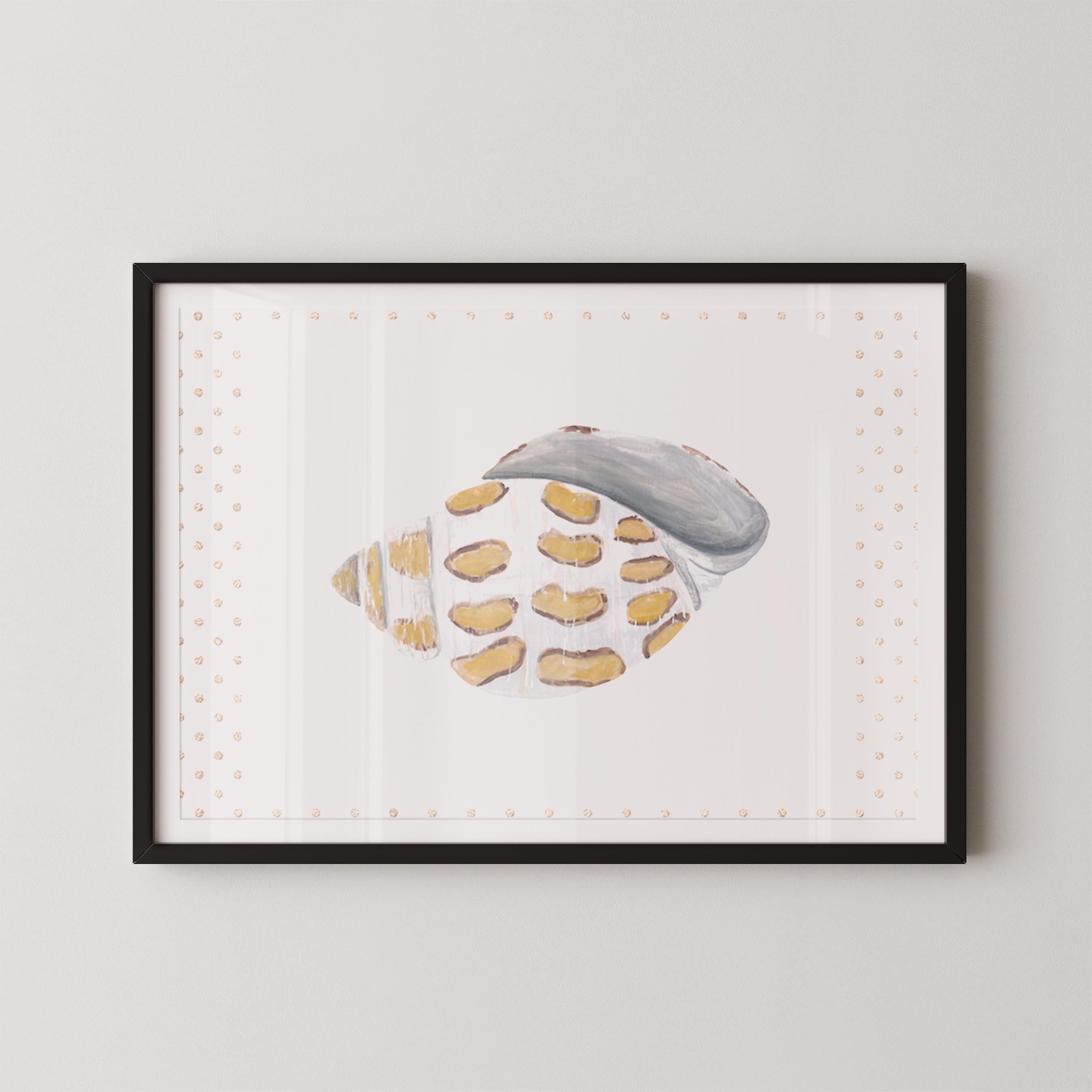 Funky Shell I