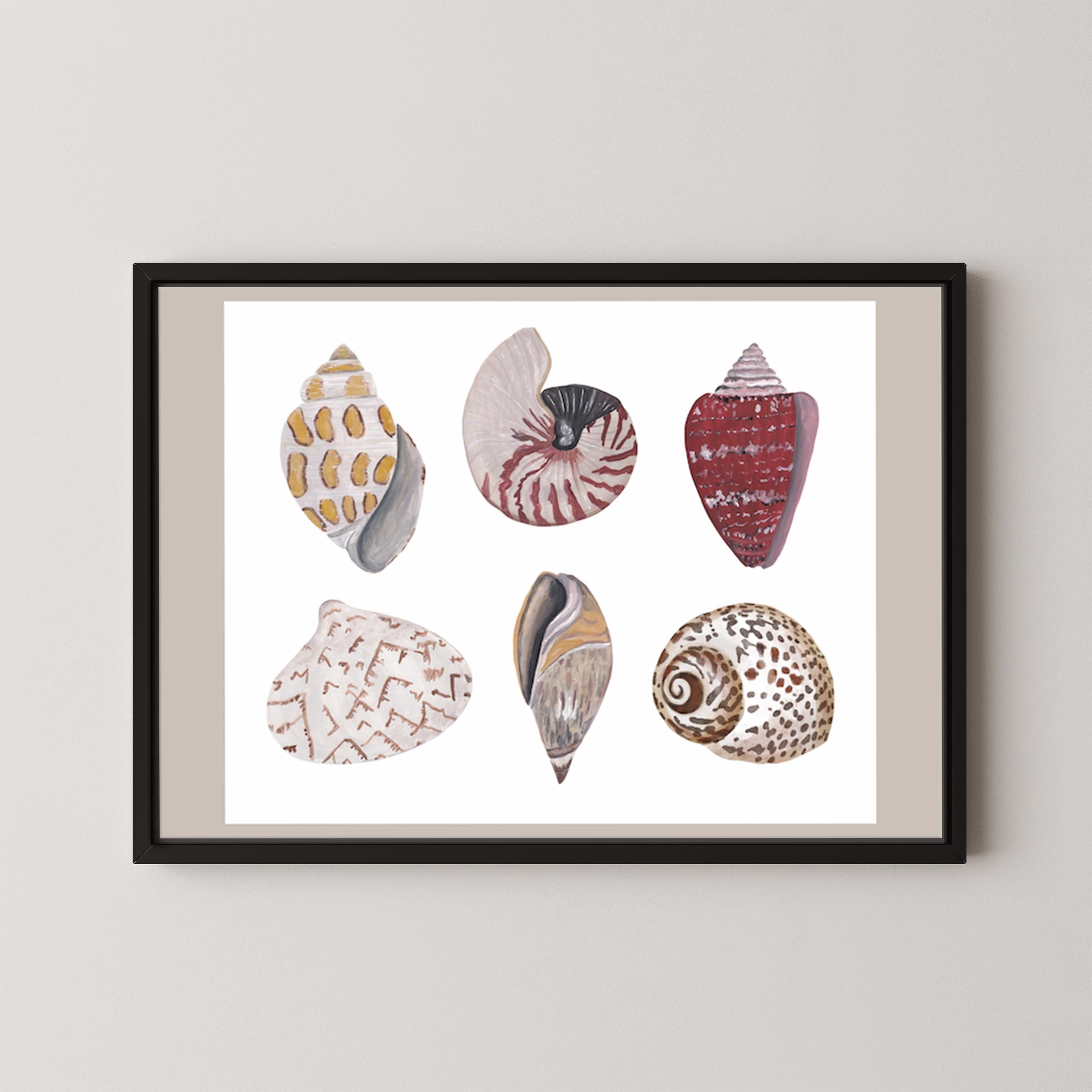 Funky Shell Flatlay