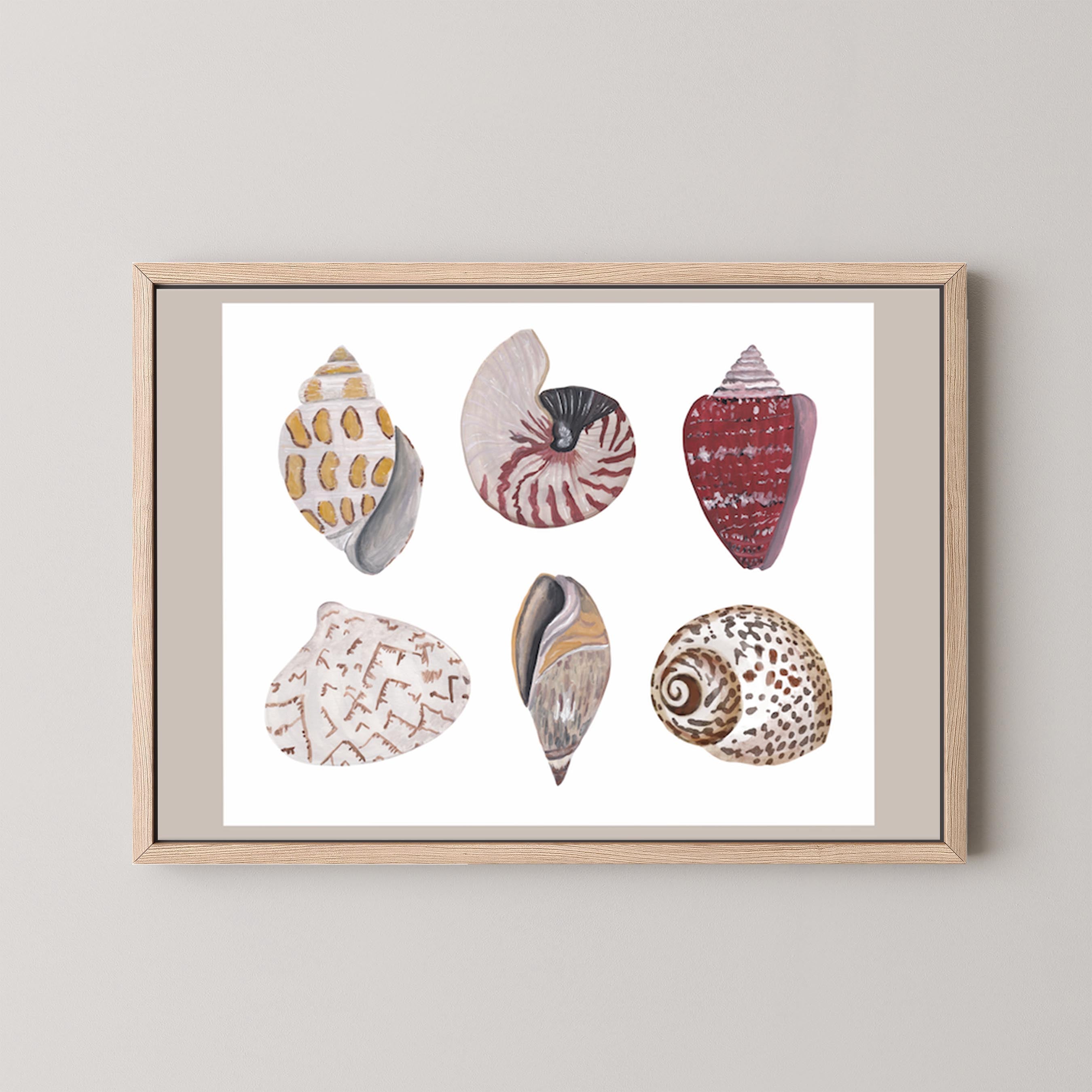 Funky Shell Flatlay