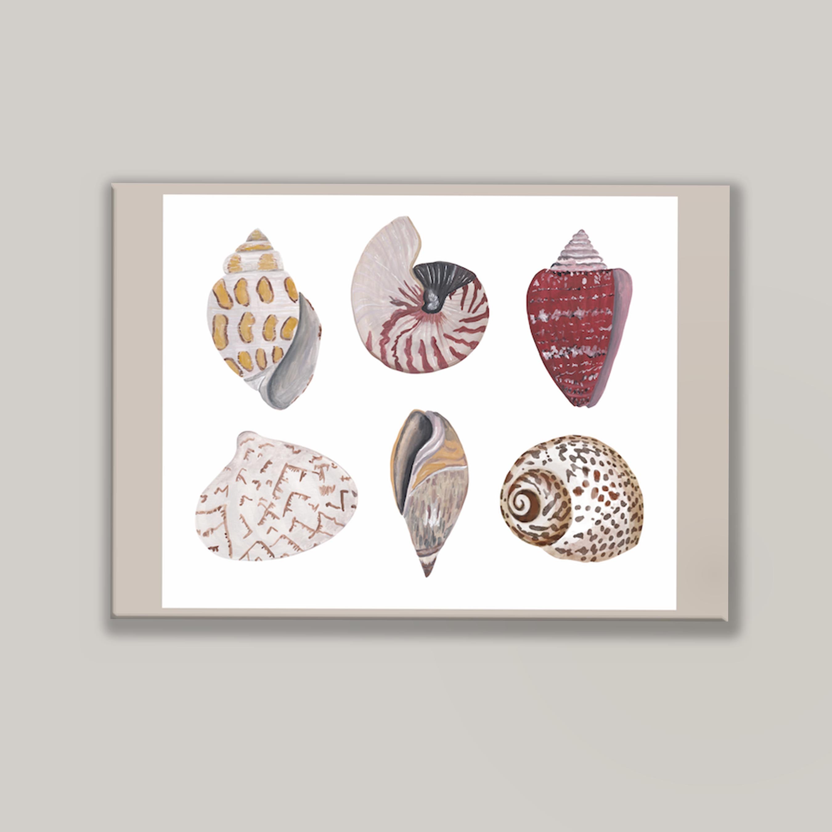 Funky Shell Flatlay