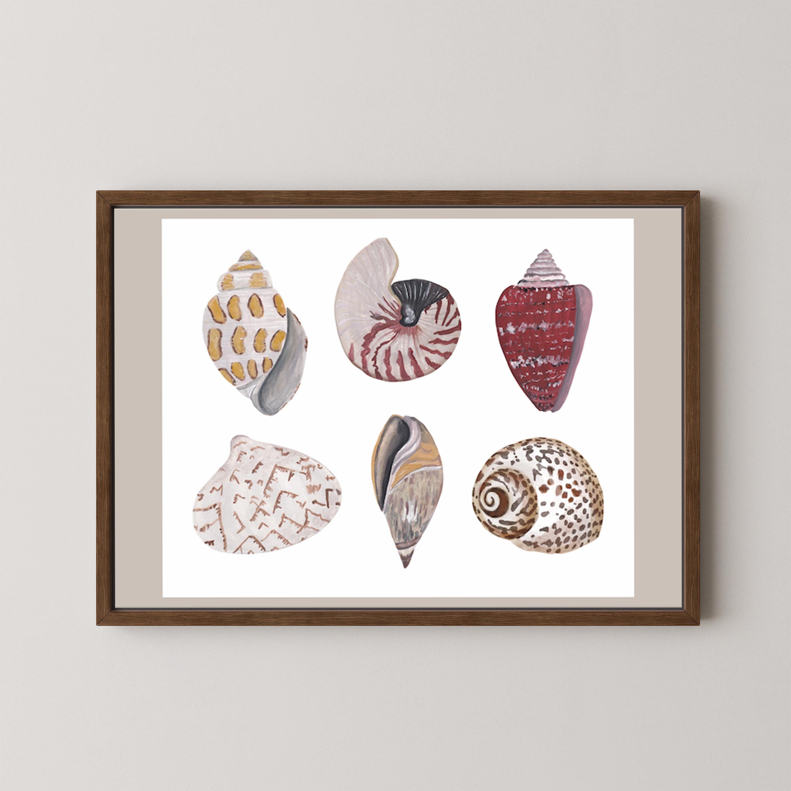Funky Shell Flatlay