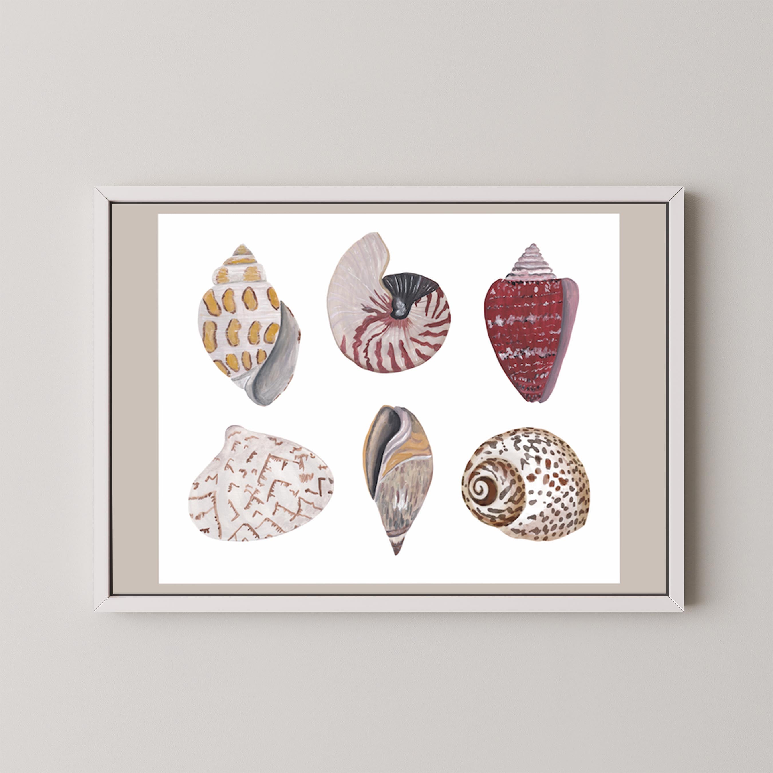 Funky Shell Flatlay