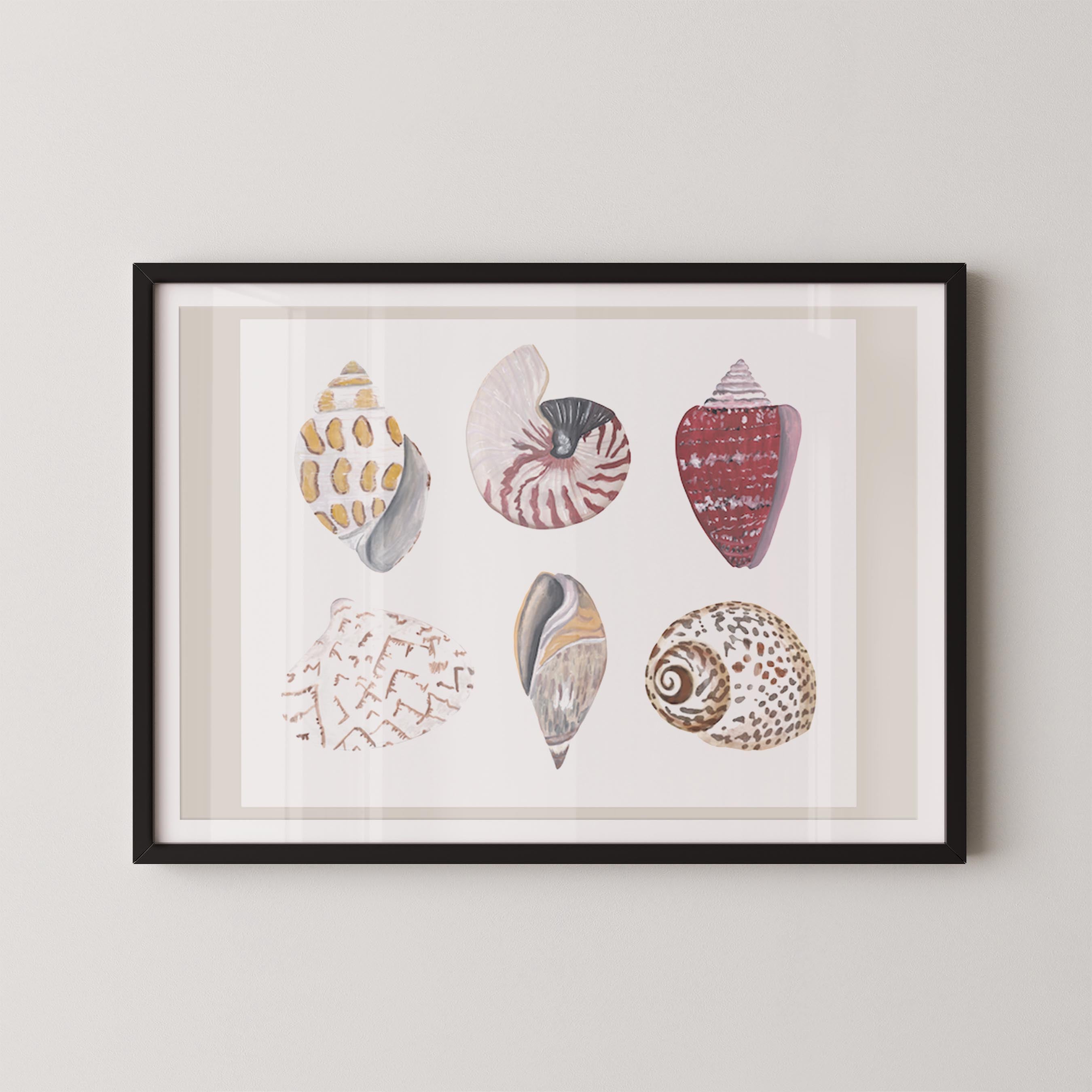 Funky Shell Flatlay