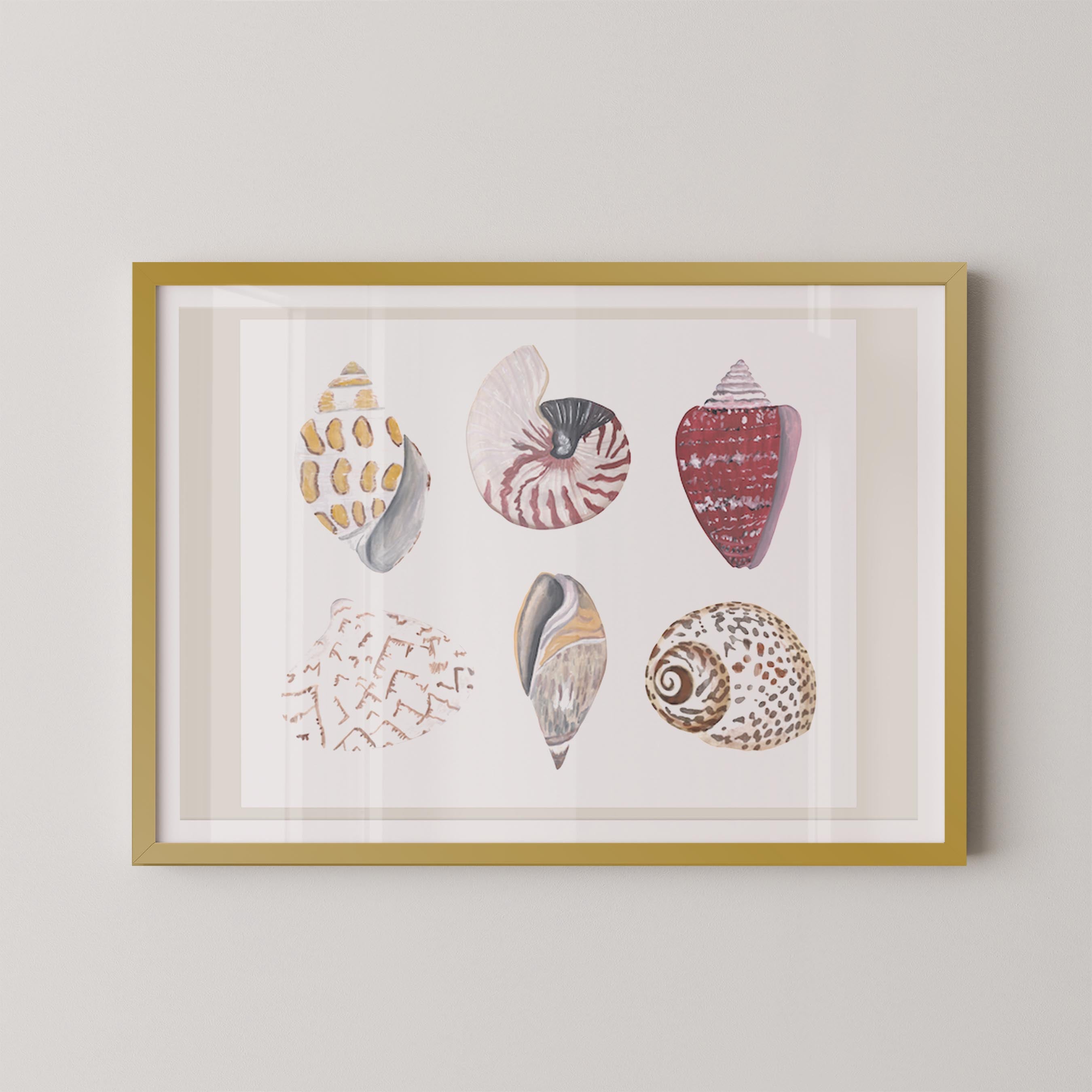 Funky Shell Flatlay