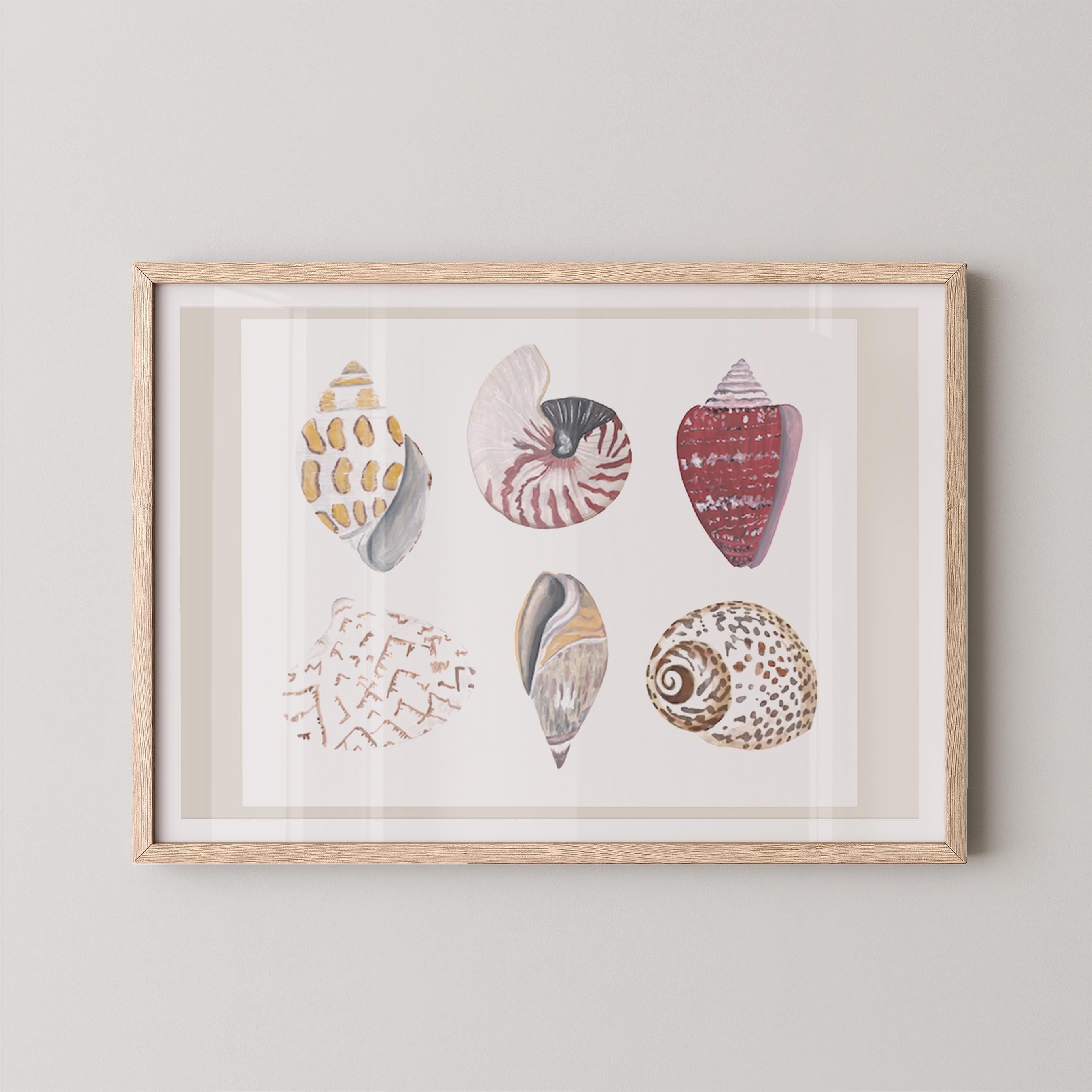 Funky Shell Flatlay