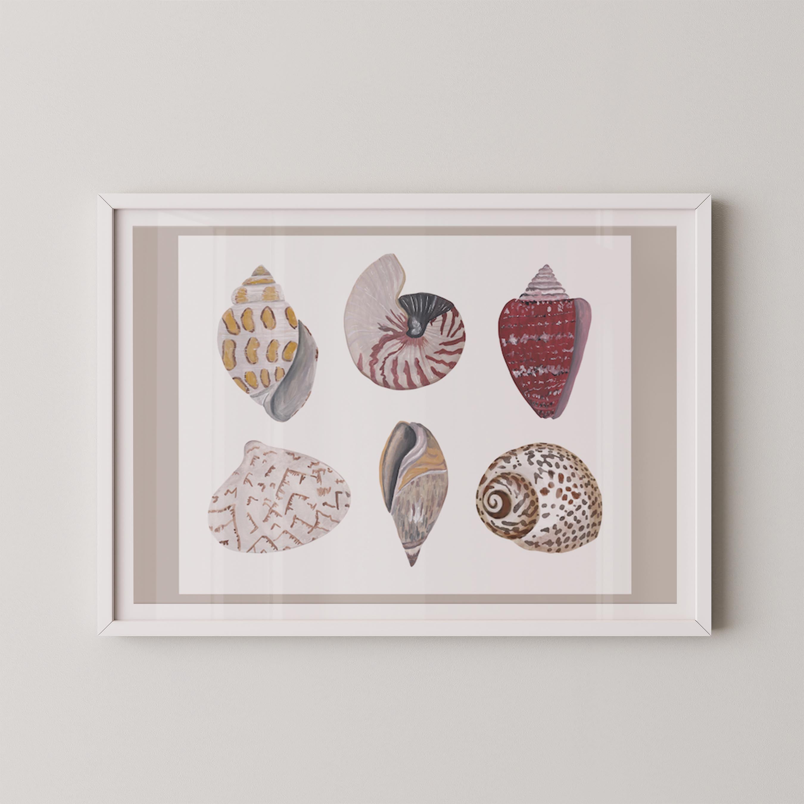 Funky Shell Flatlay