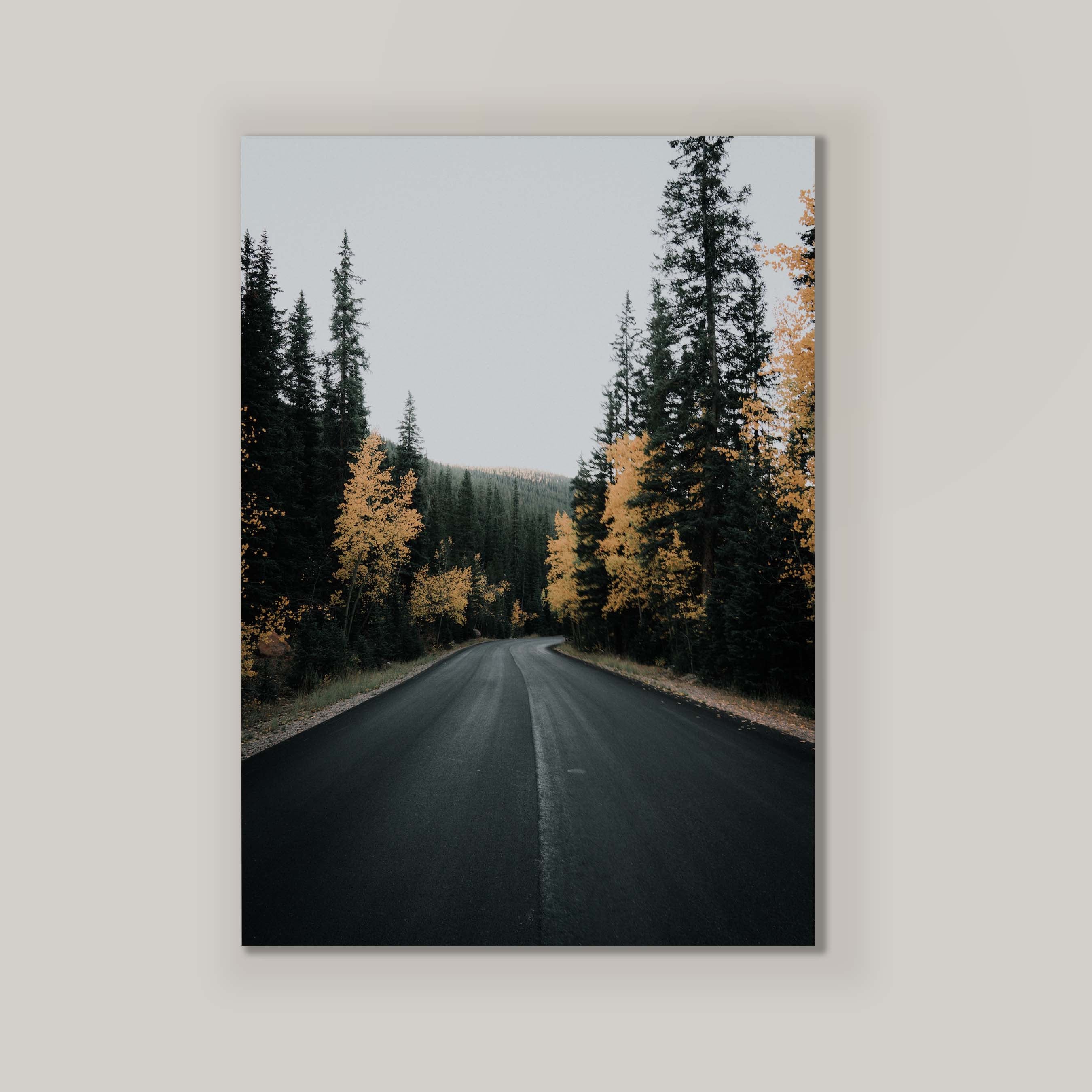 Golden Road II