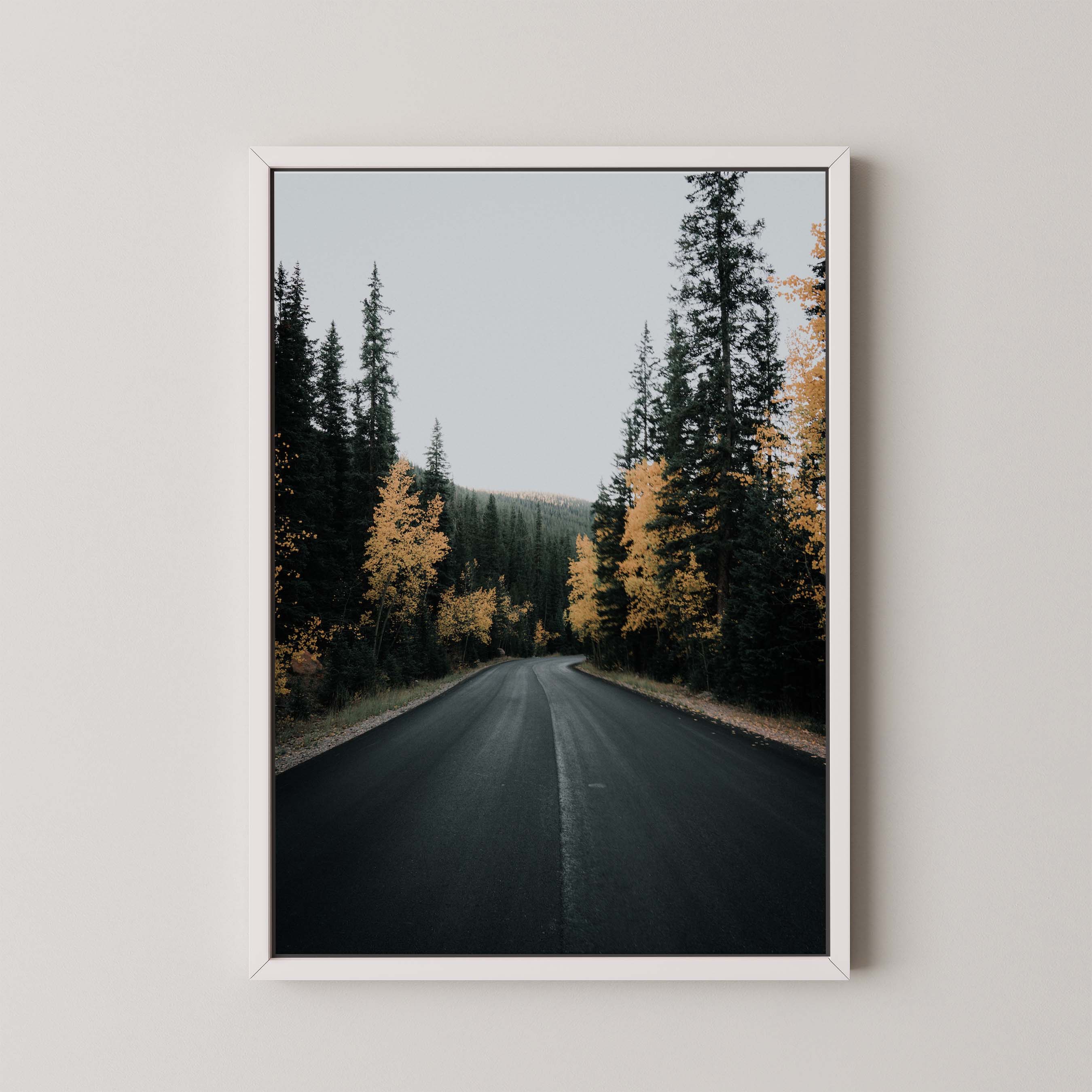 Golden Road II