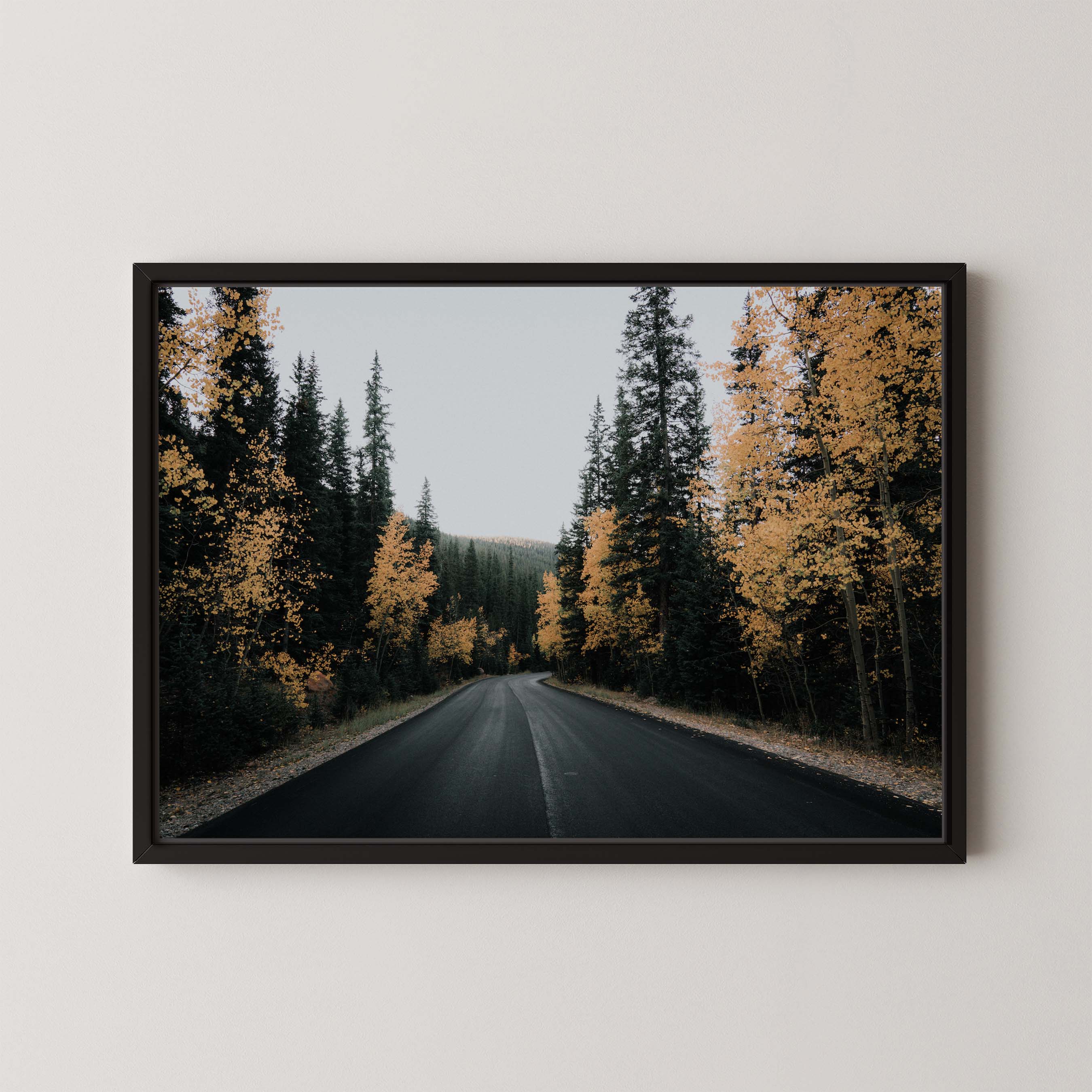 Golden Road I