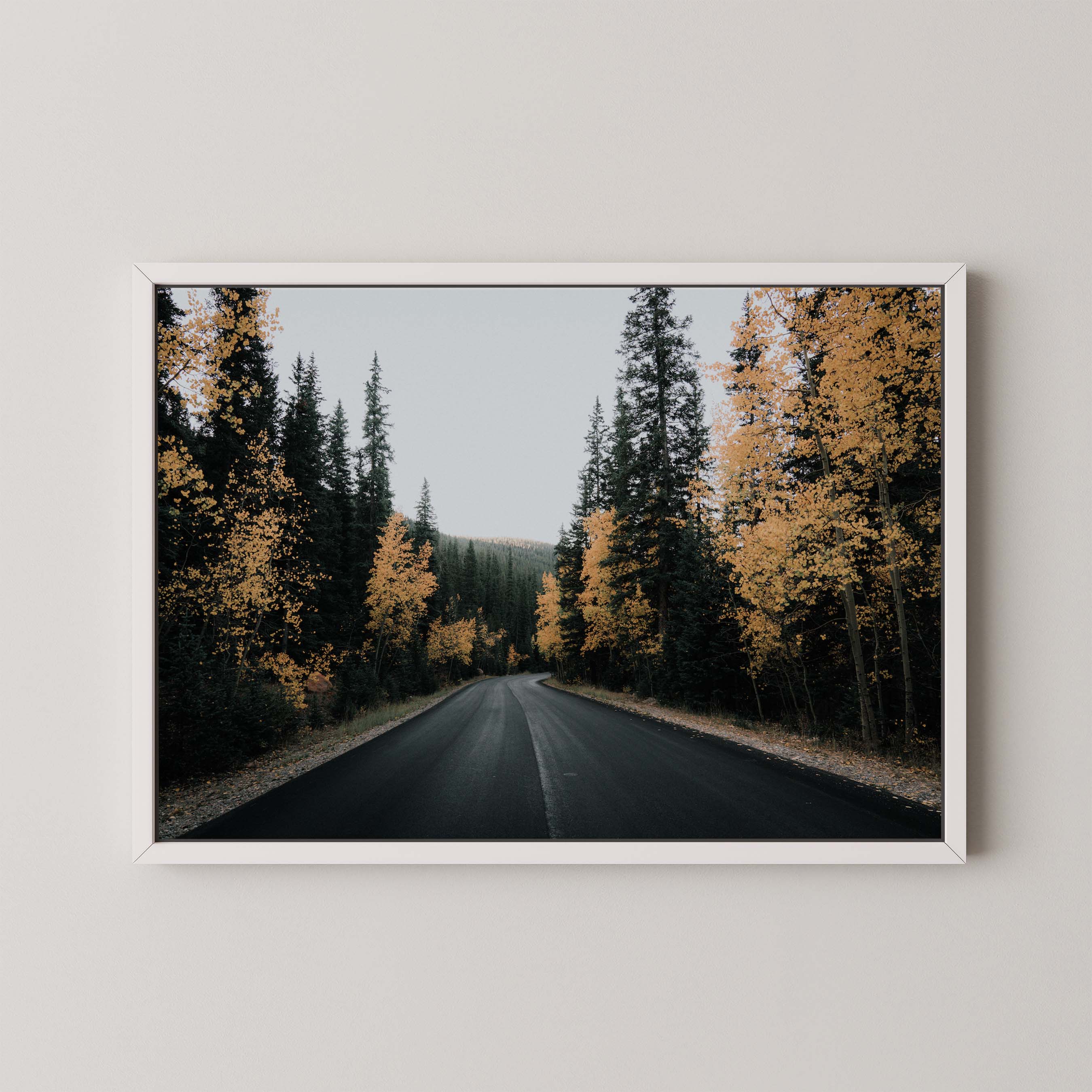 Golden Road I