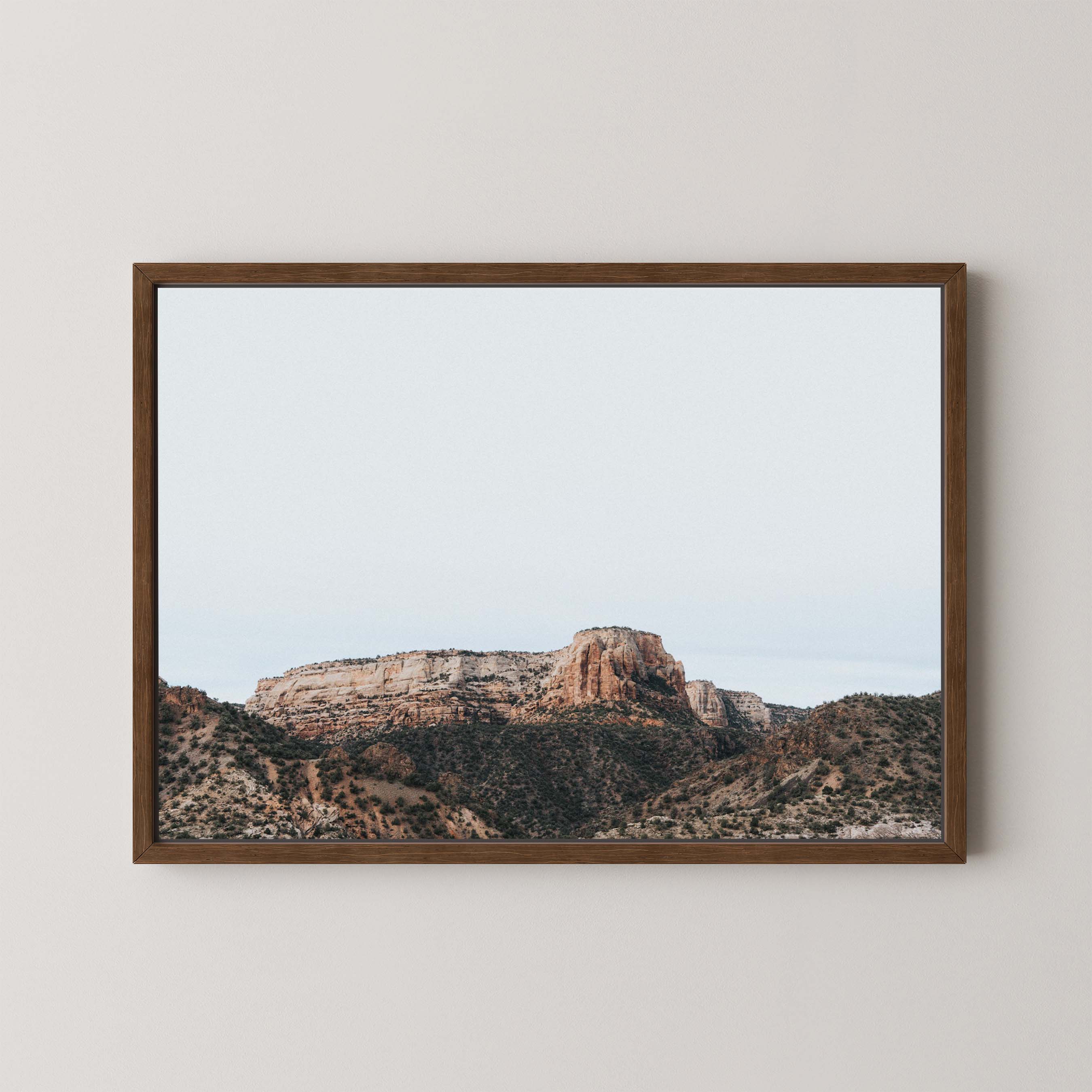 High Desert Panorama